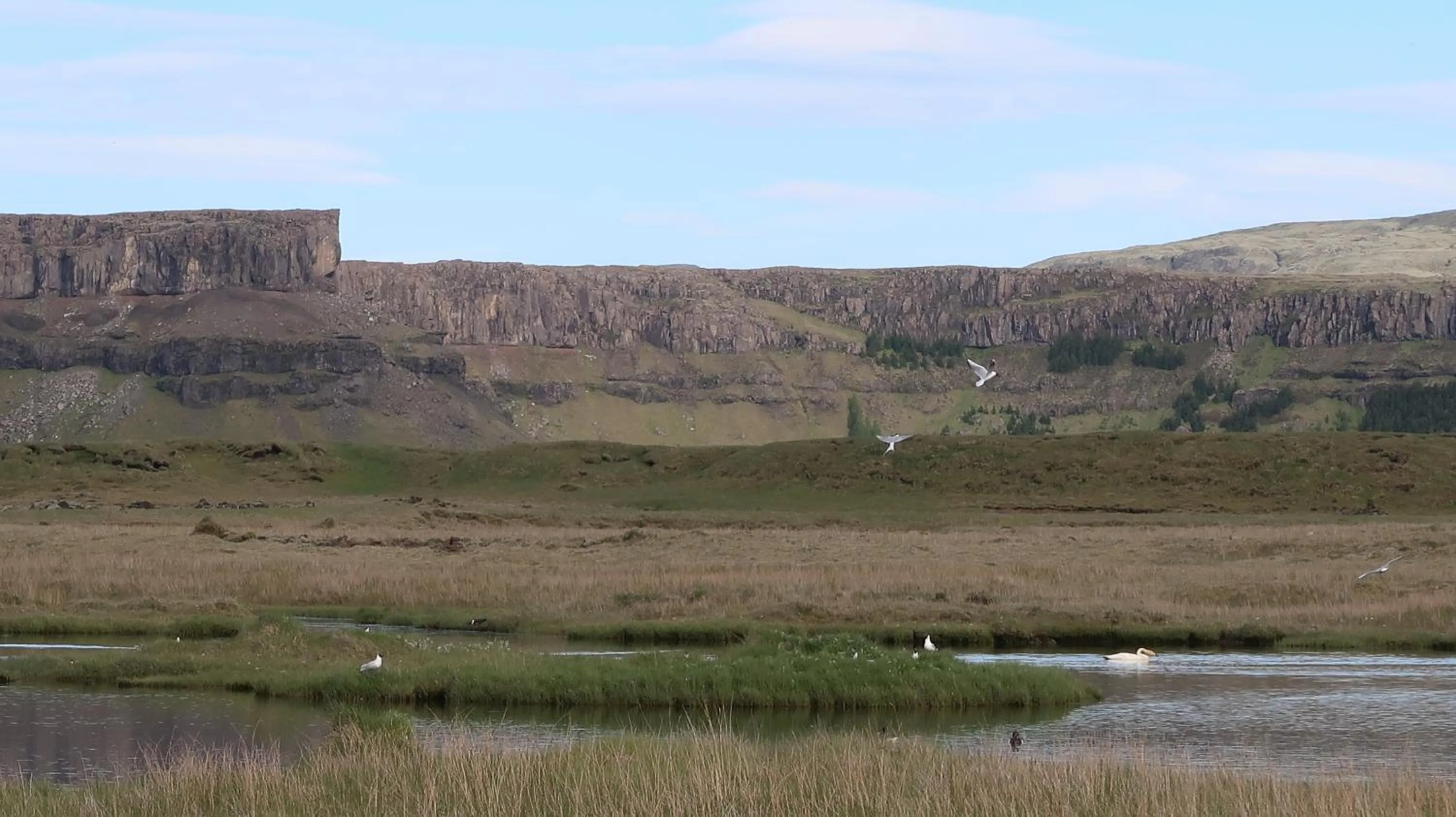 Summer in Hvoll Hostel