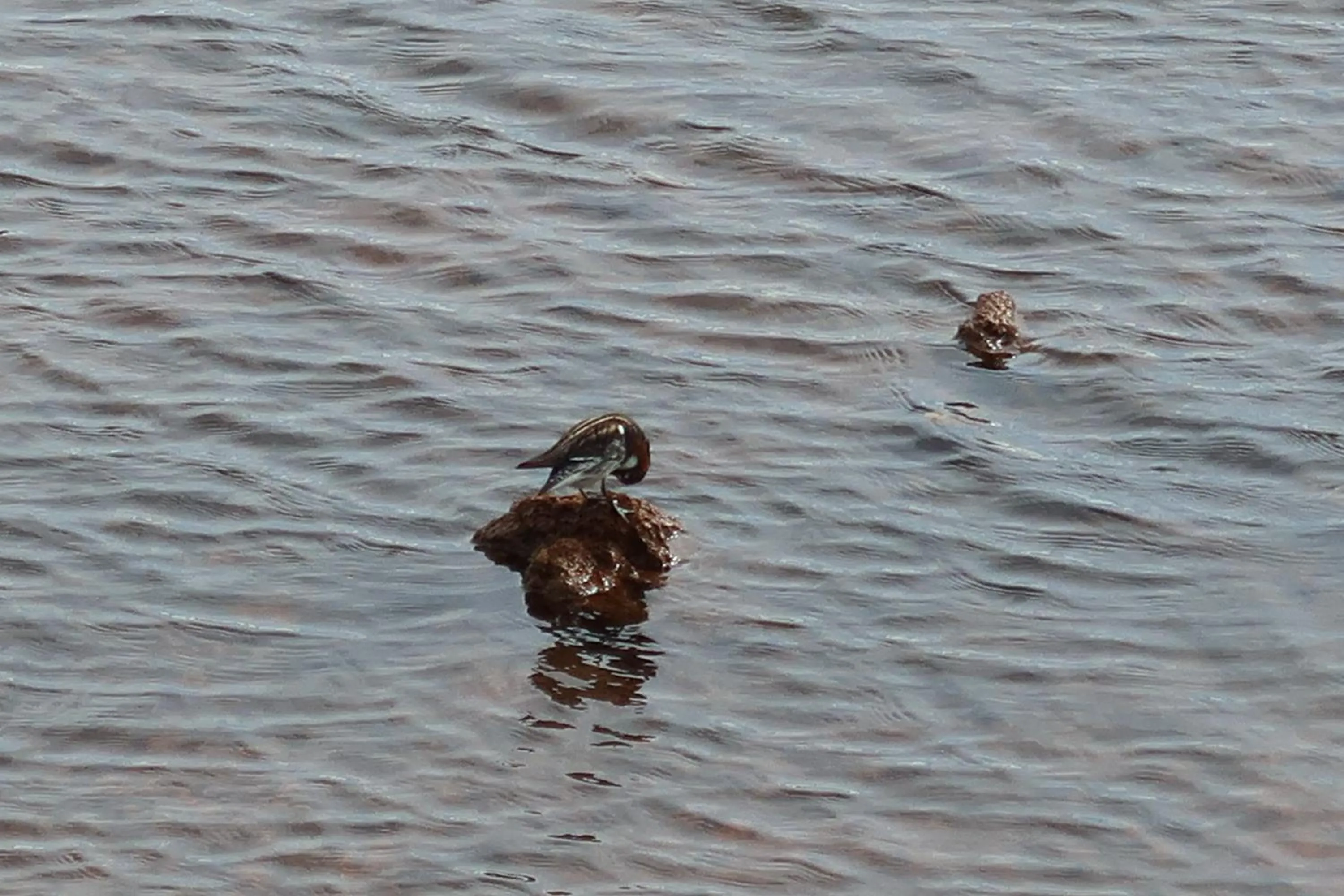 Summer in Hvoll Hostel