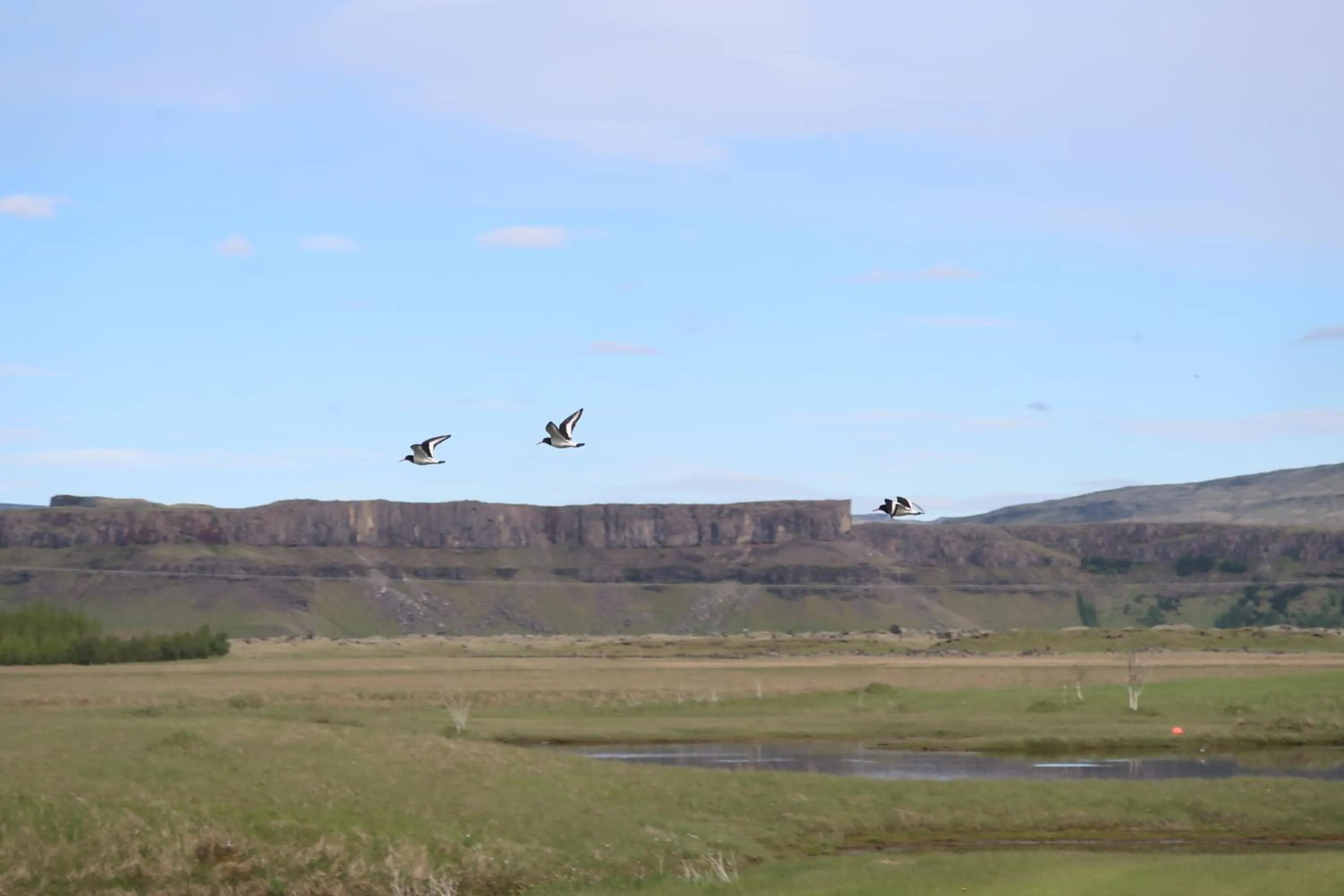 Summer in Hvoll Hostel