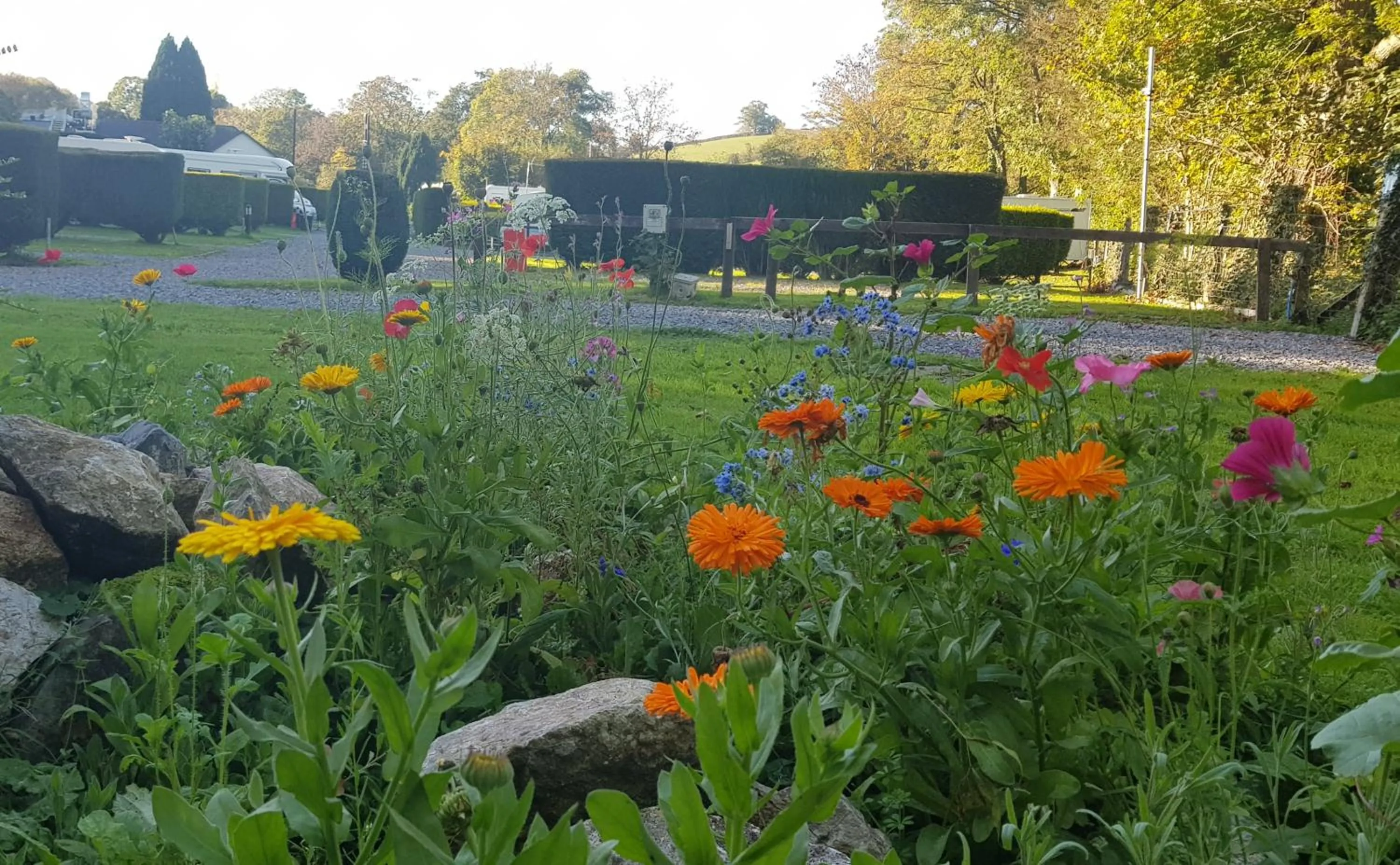 Spring in Dartmoor Halfway Inn