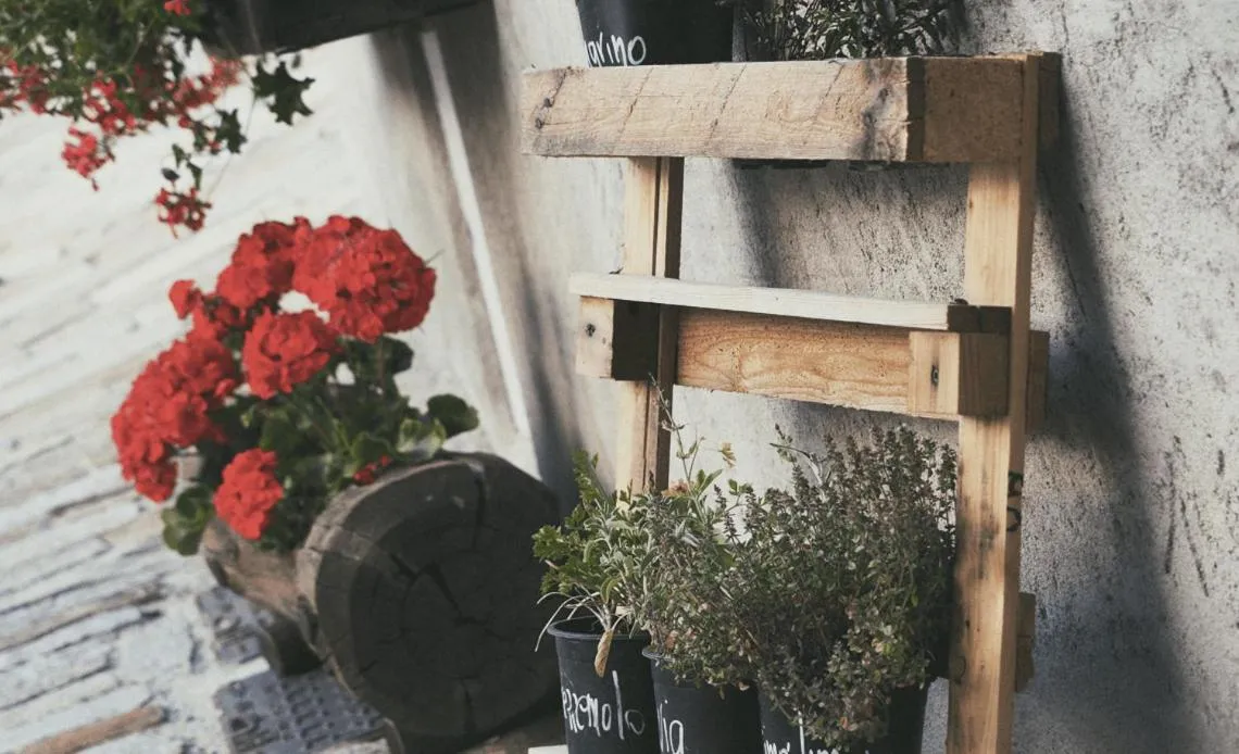 Property building in Locanda Allevè Hotel Ristorante