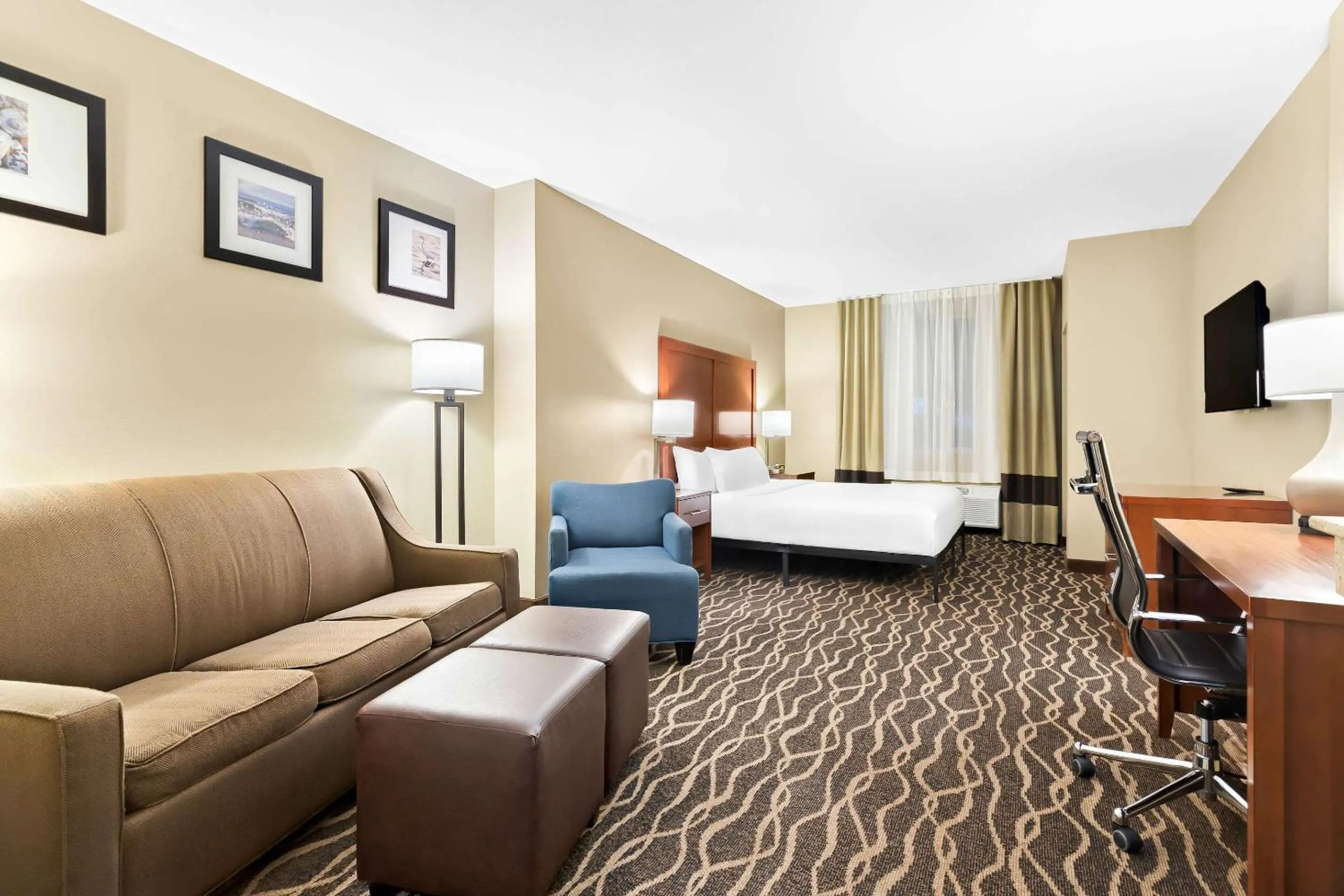 Bedroom, Bed in Comfort Suites Tampa Airport North