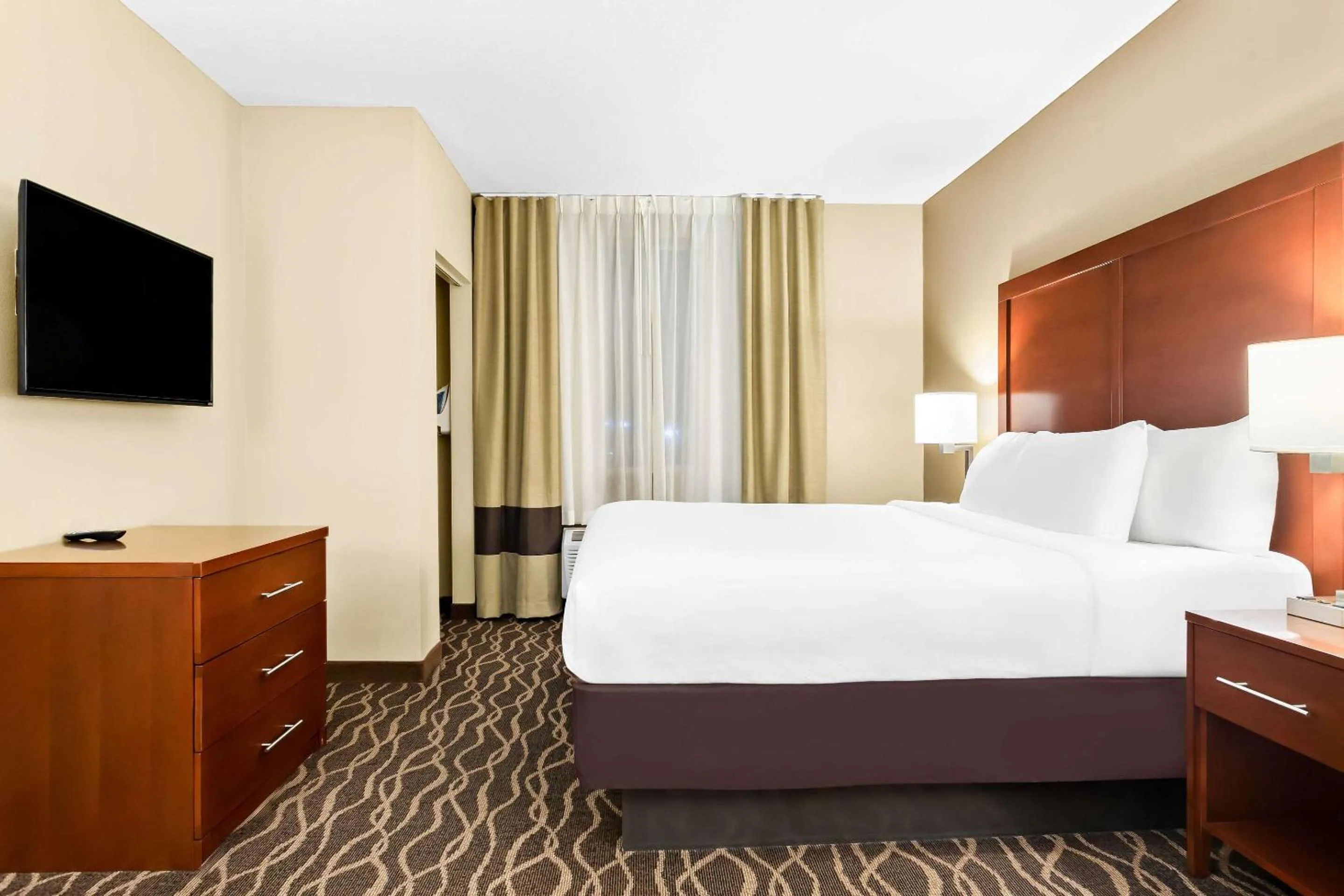 Bedroom, Bed in Comfort Suites Tampa Airport North
