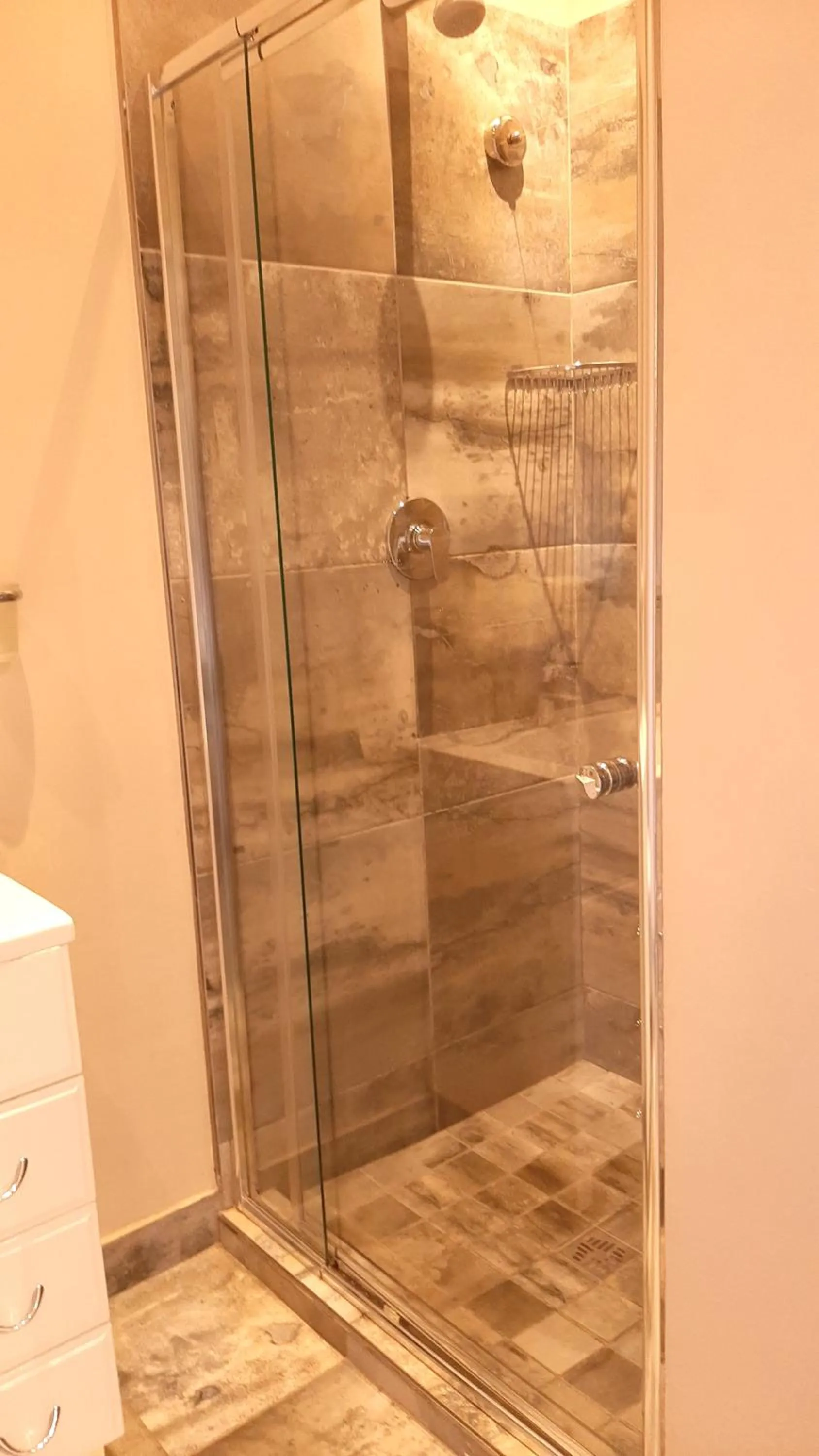 Shower in The Greenhouse Guesthouse