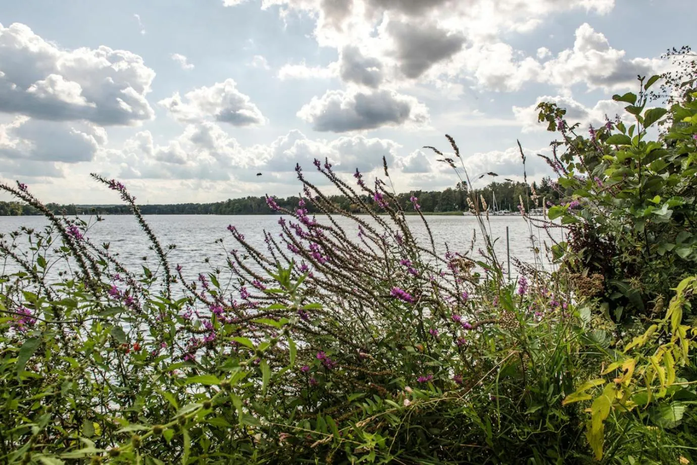 Beach in Hotel & Restaurant Raueneck