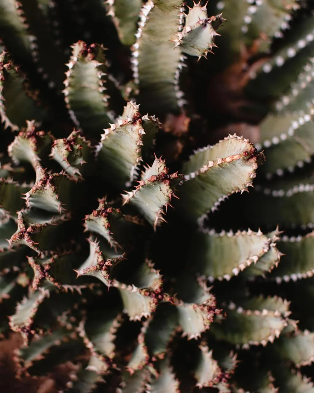 Property building in Historic Star Motel
