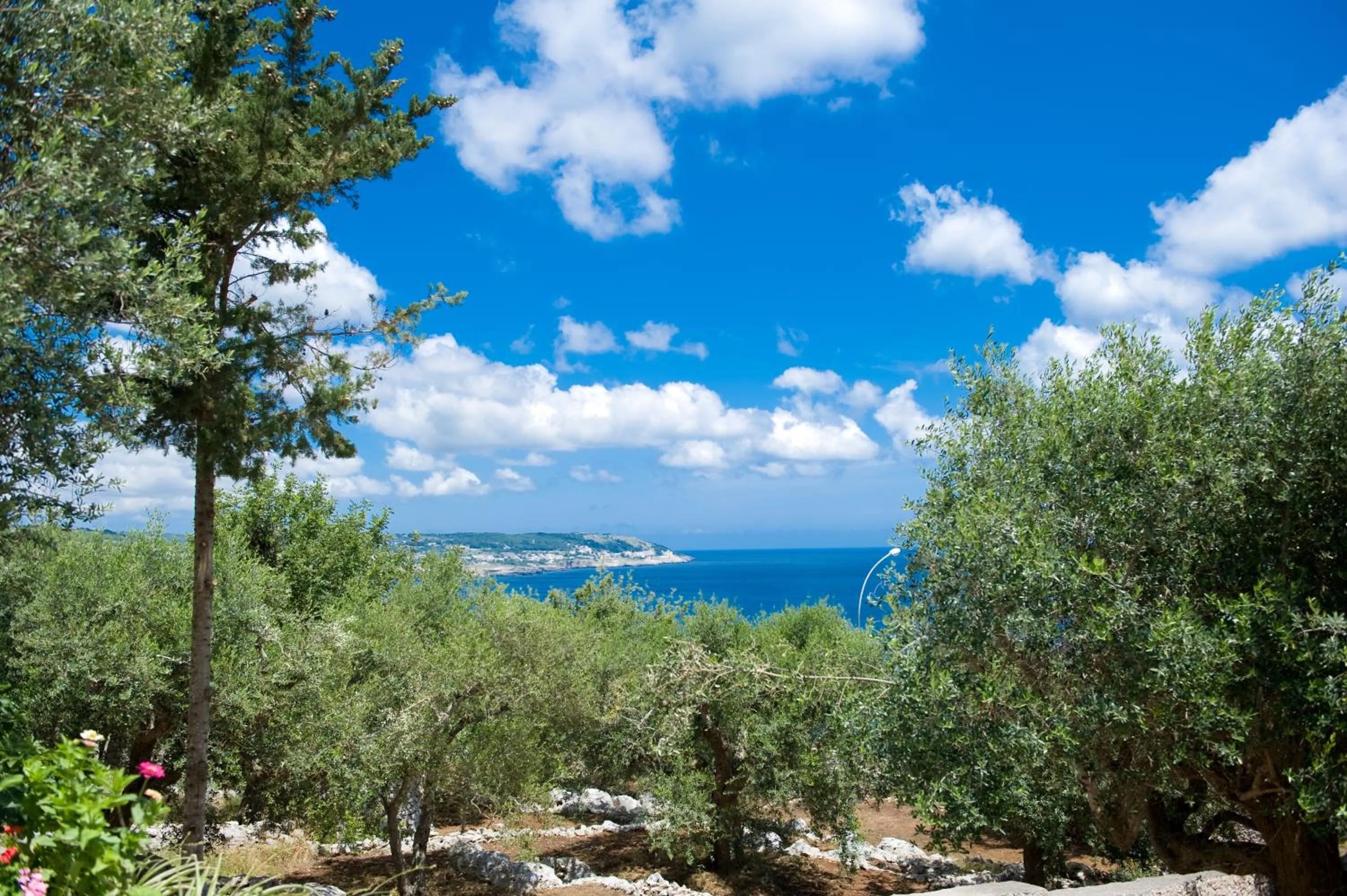 View (from property/room) in Hotel Orsa Maggiore