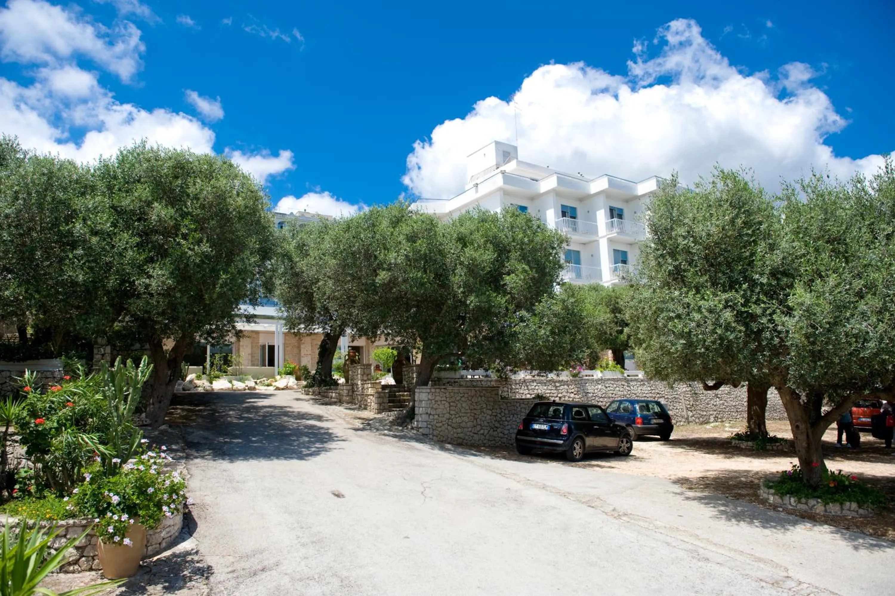 Garden in Hotel Orsa Maggiore