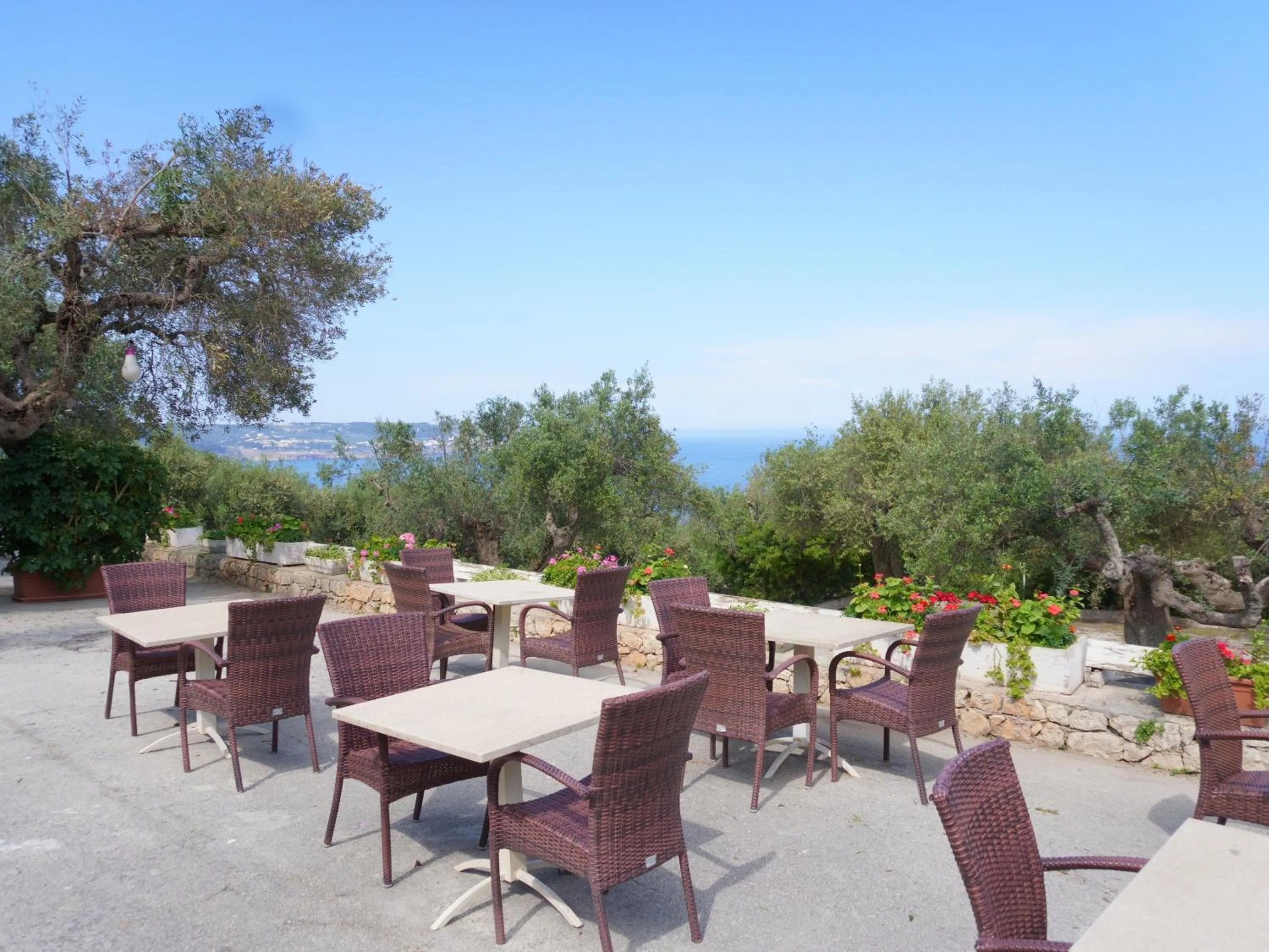 Patio in Hotel Orsa Maggiore