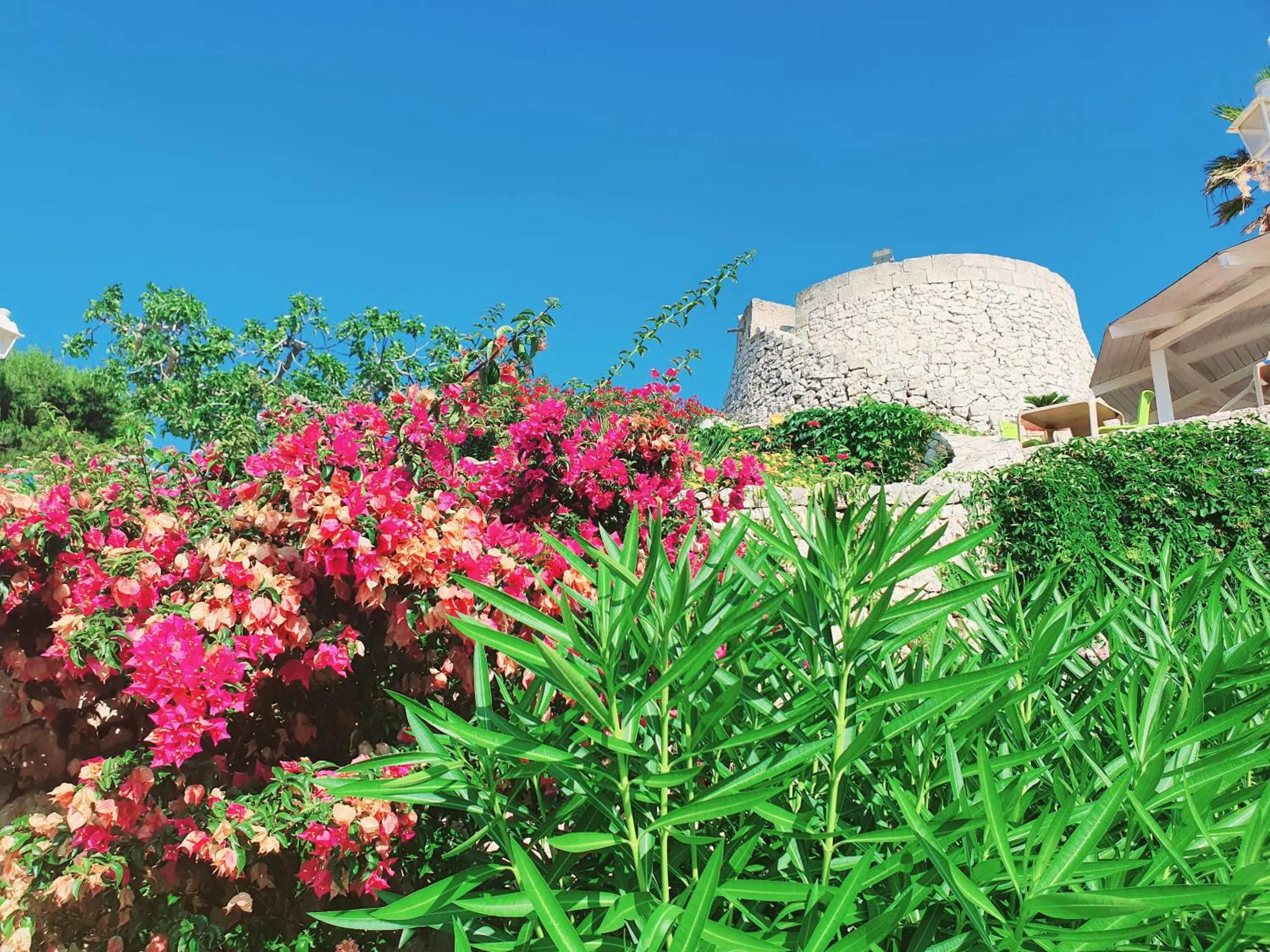 Garden view in Hotel Ristorante Panoramico