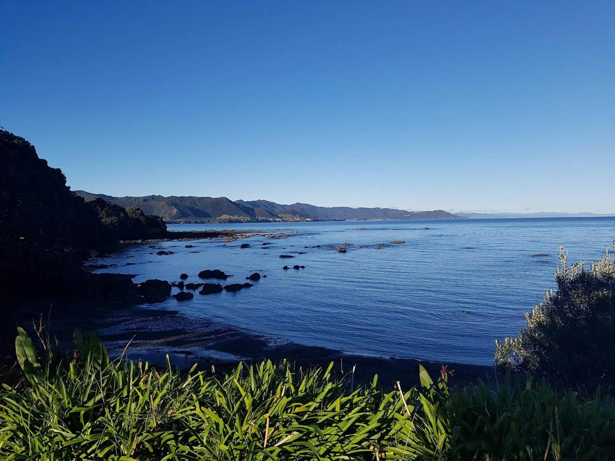 Natural landscape in Te Kaha Beach Hotel