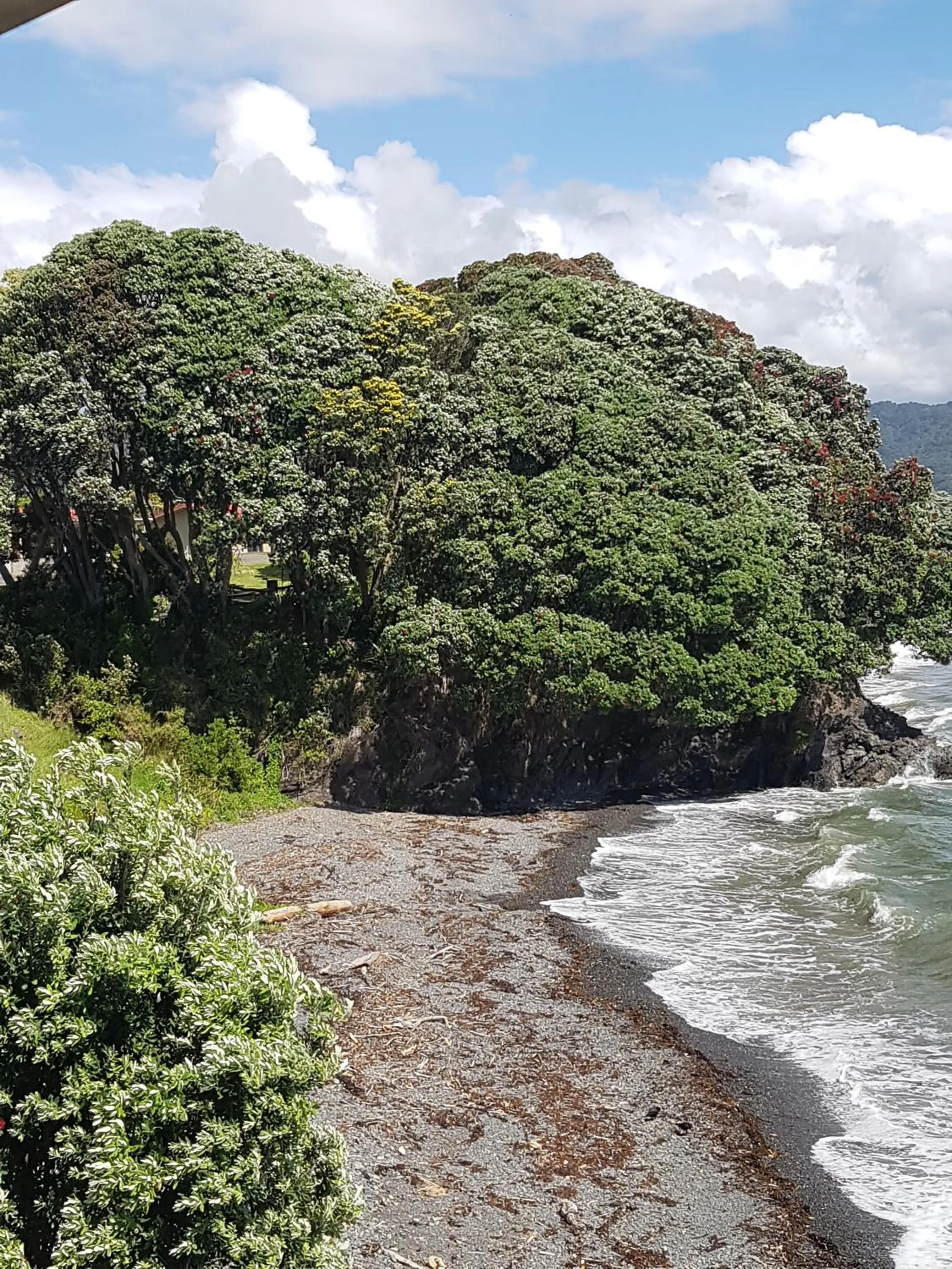 Sea view in Te Kaha Beach Hotel