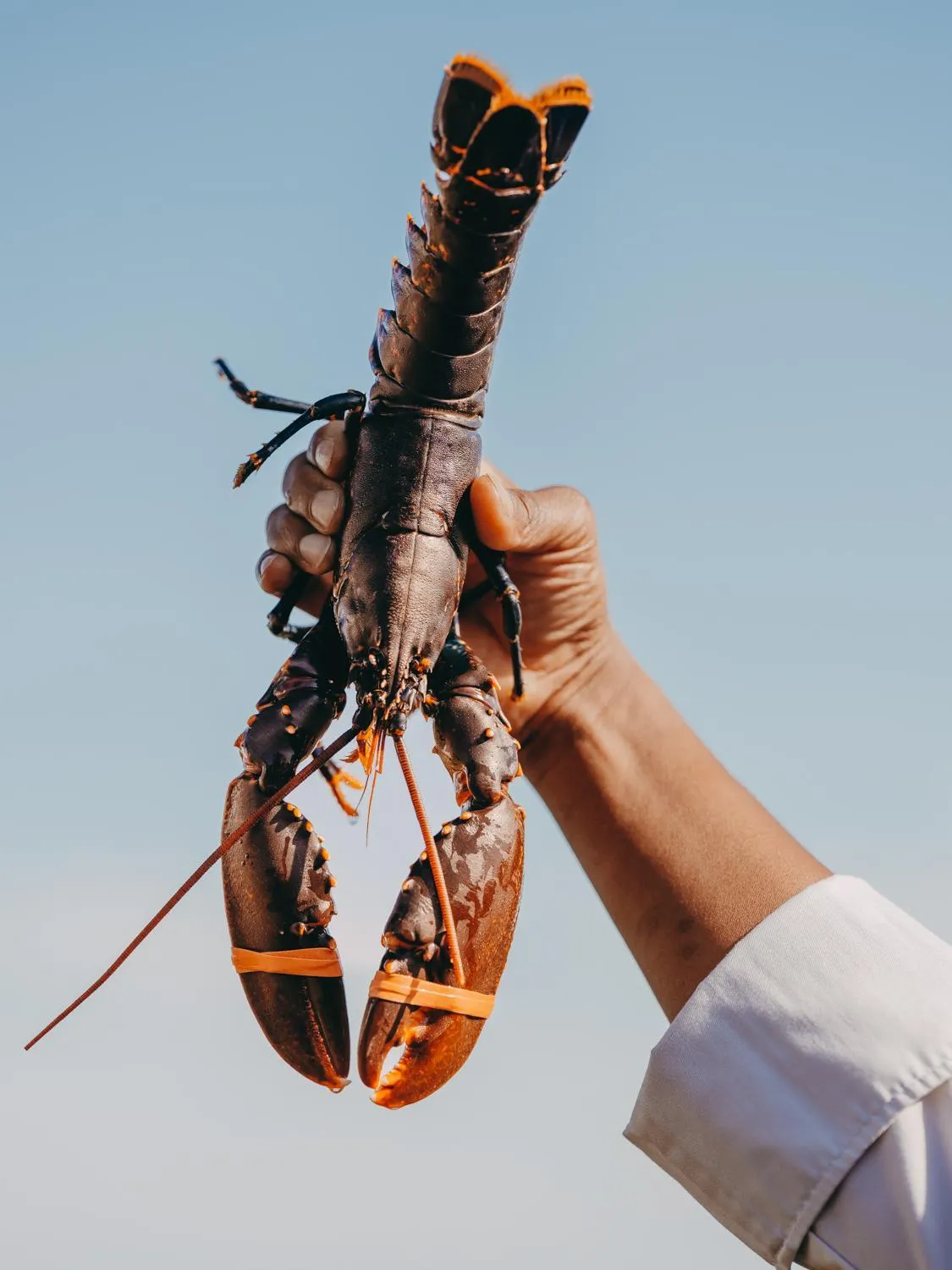 Sea view in Le Grand Large, Belle-Ile-En-Mer