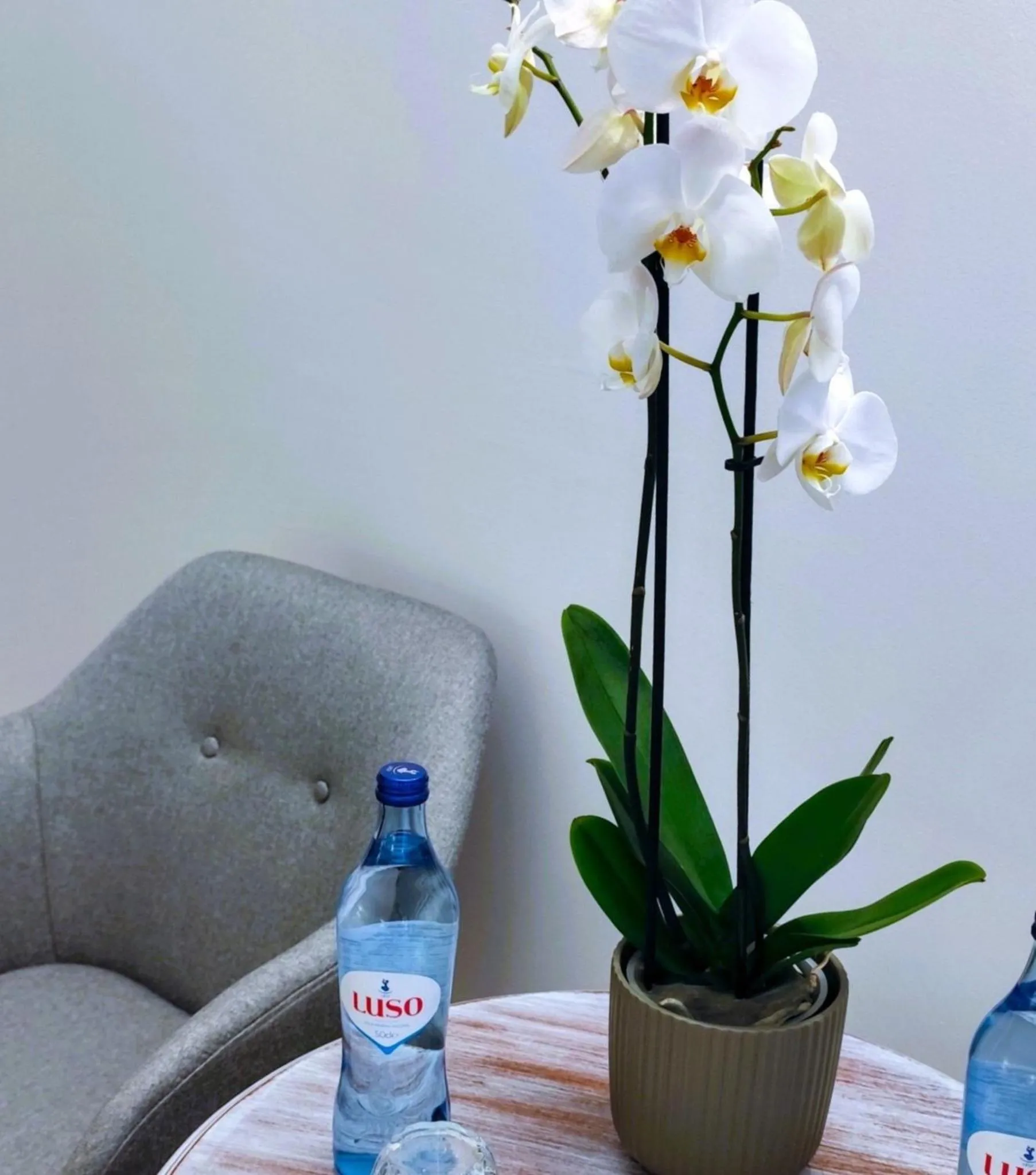 Decorative detail in Luso Village Boutique Hotel