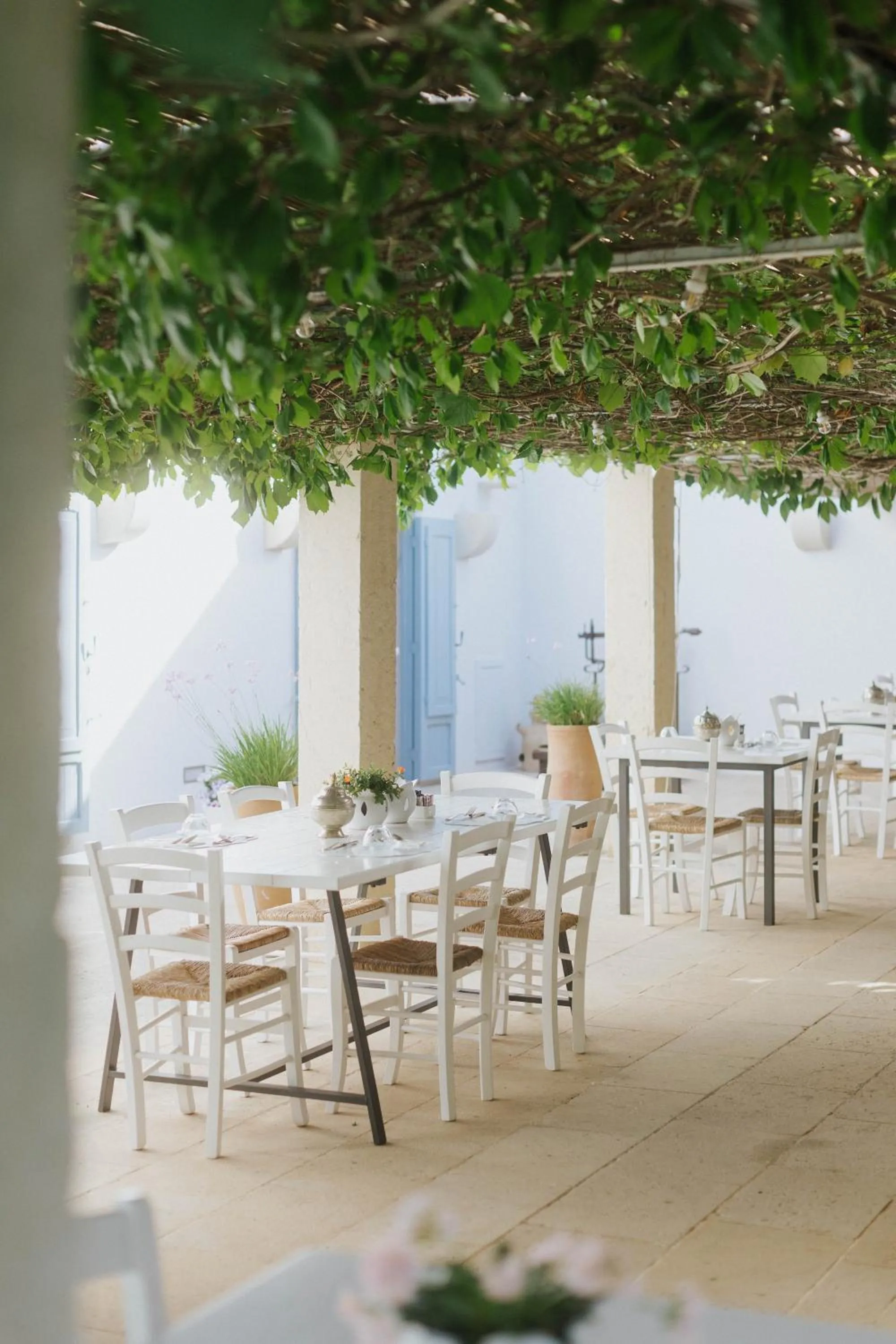 Restaurant/places to eat in Masseria Montelauro
