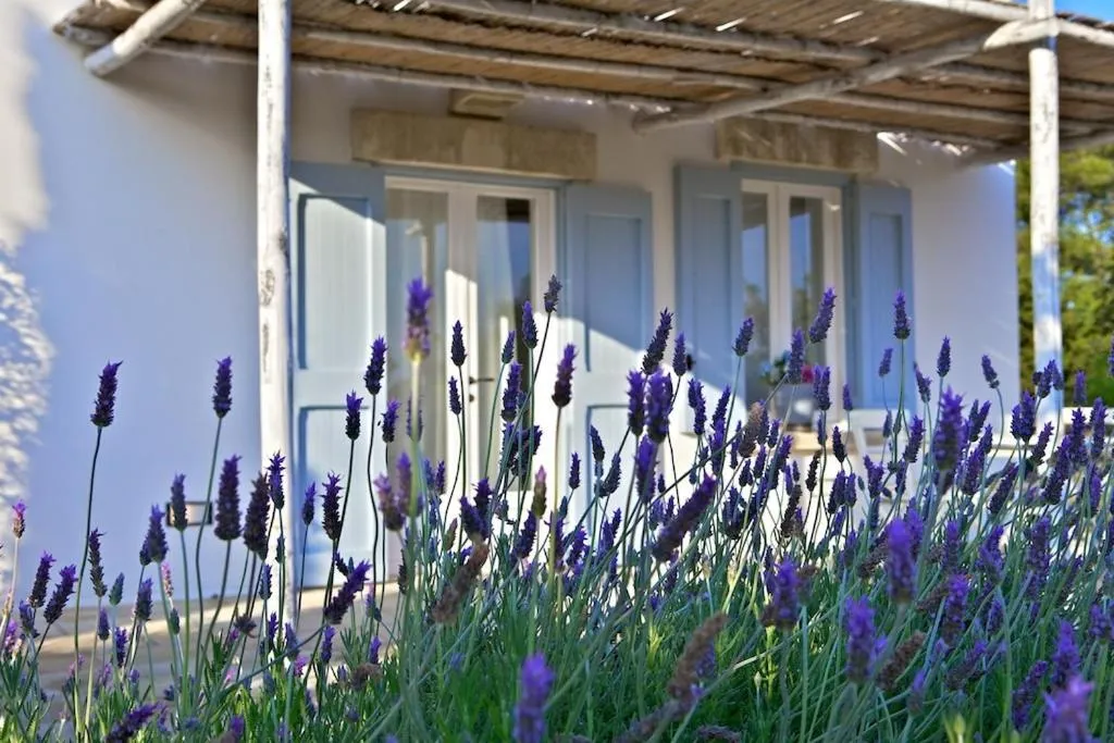 Spa and wellness centre/facilities in Masseria Montelauro