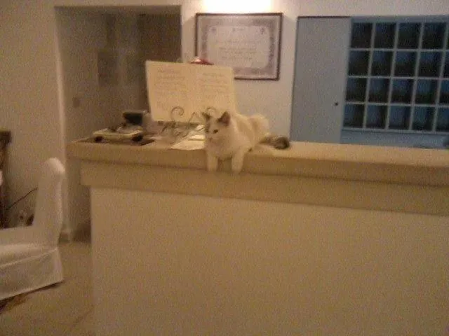 Lobby or reception in Masseria Montelauro