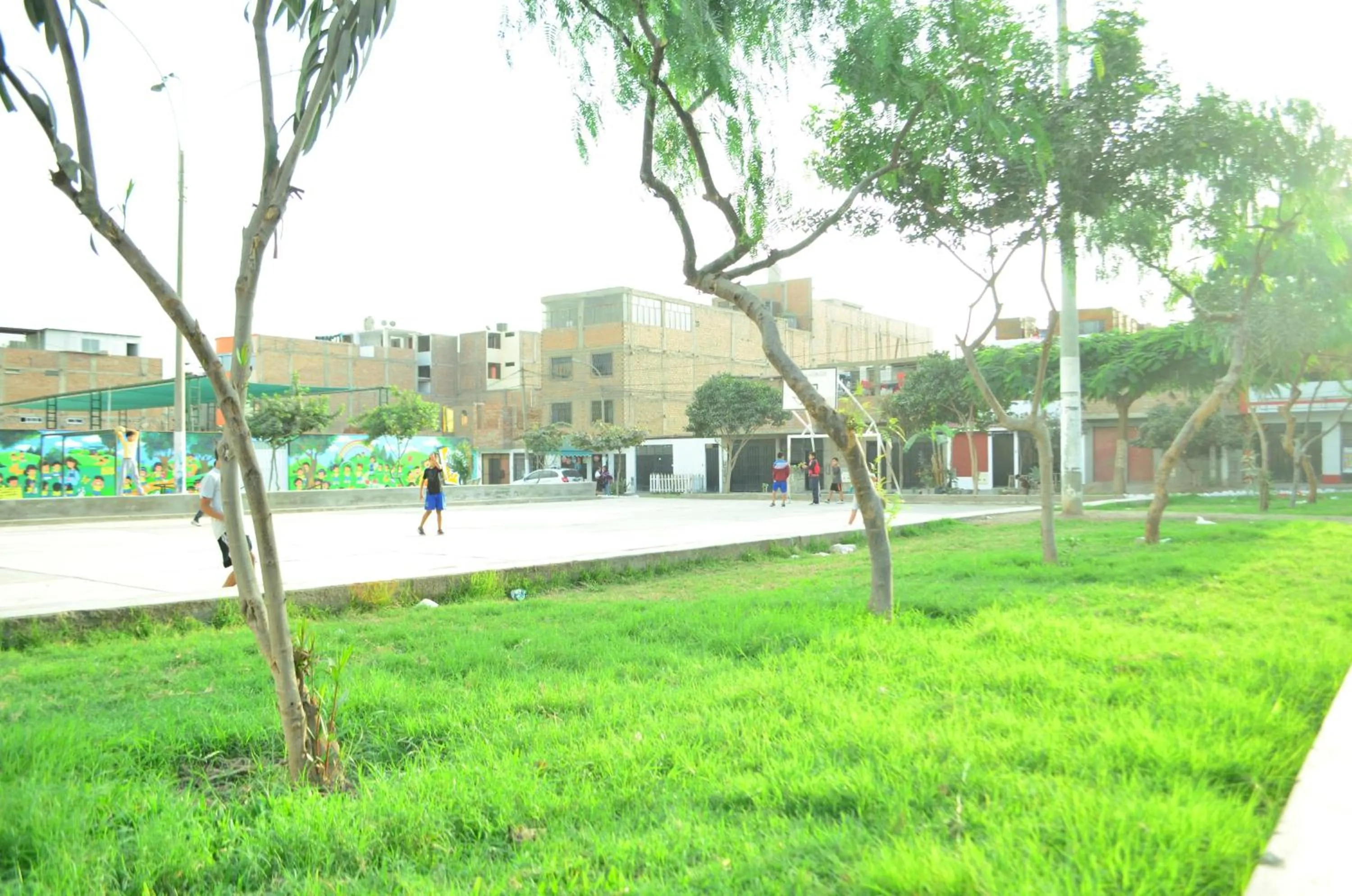 Neighbourhood in Rosenverg B&B Tours