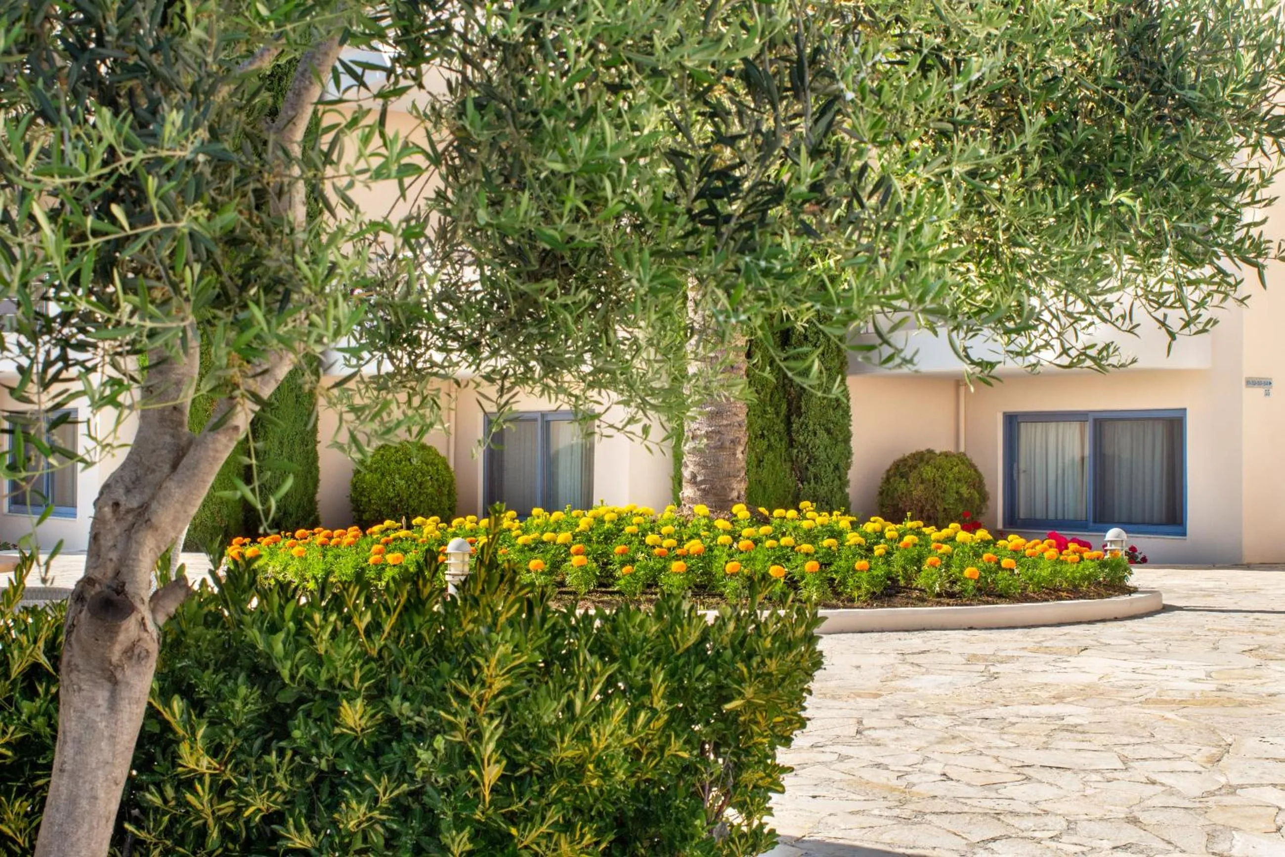 Property building in Ionian Theoxenia