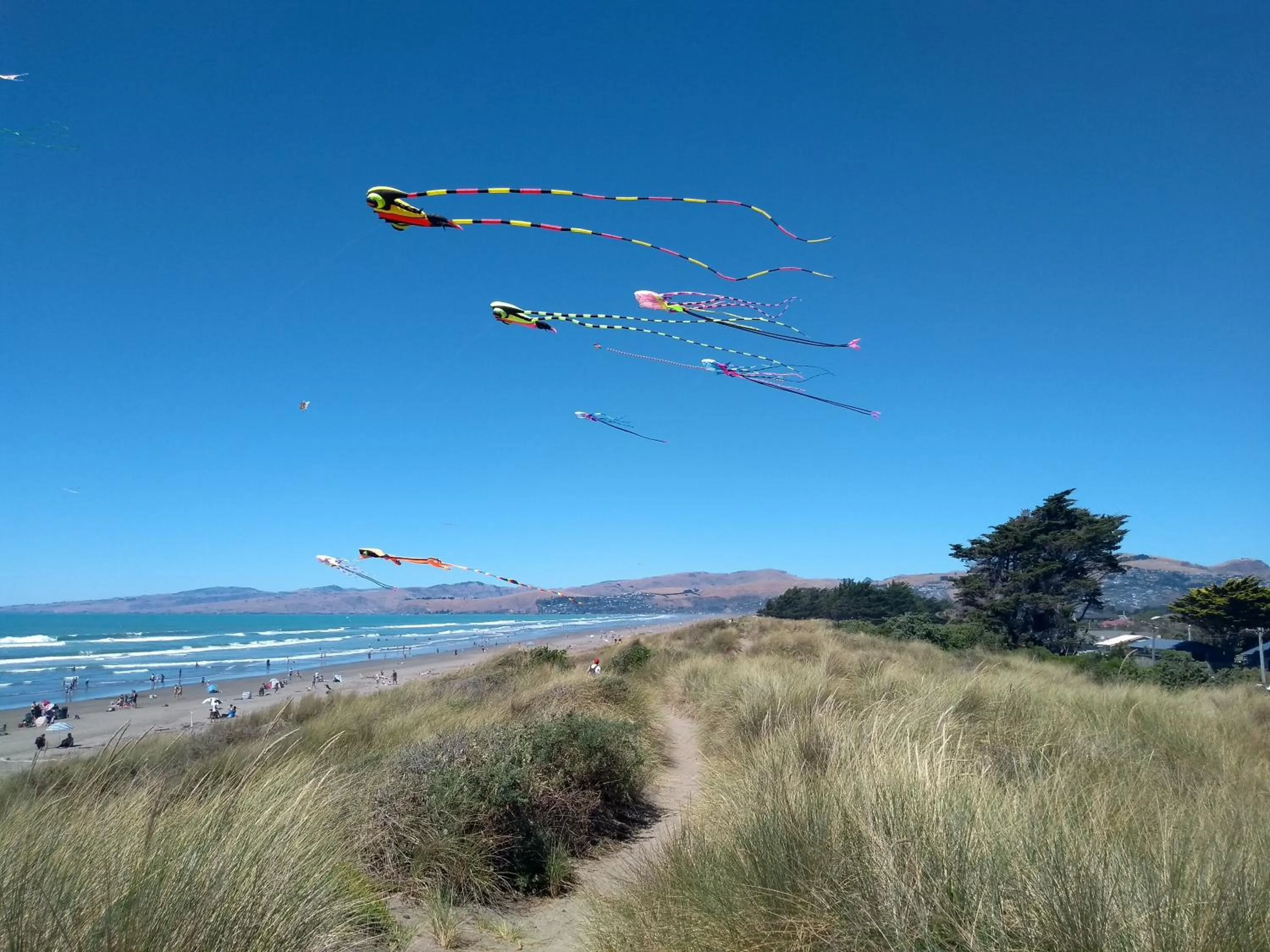 Beach in South Brighton Holiday Park