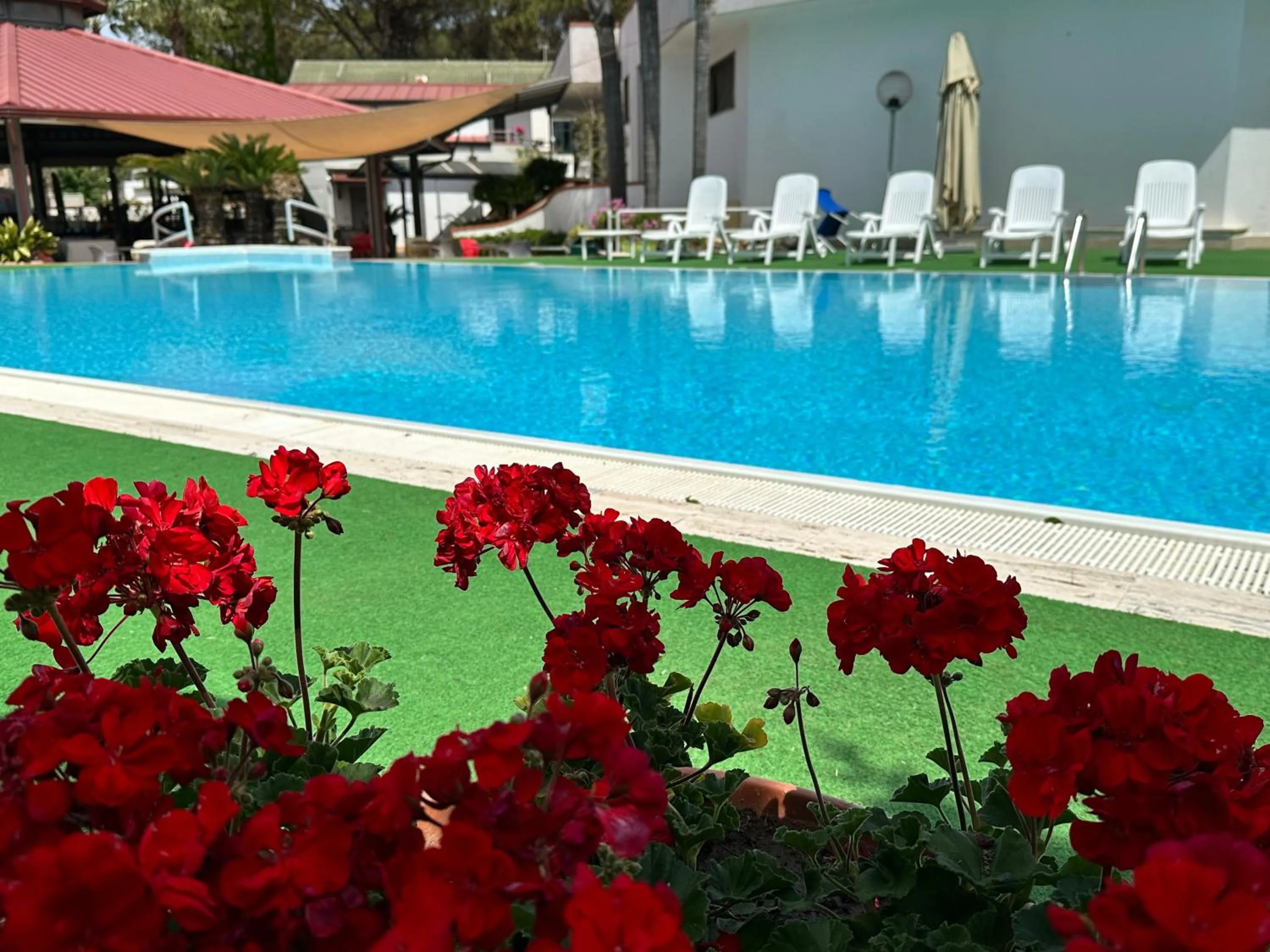 Swimming Pool in Hotel B&B Marina