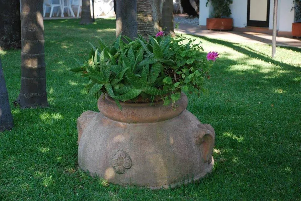 Day, Garden in Hotel B&B Marina