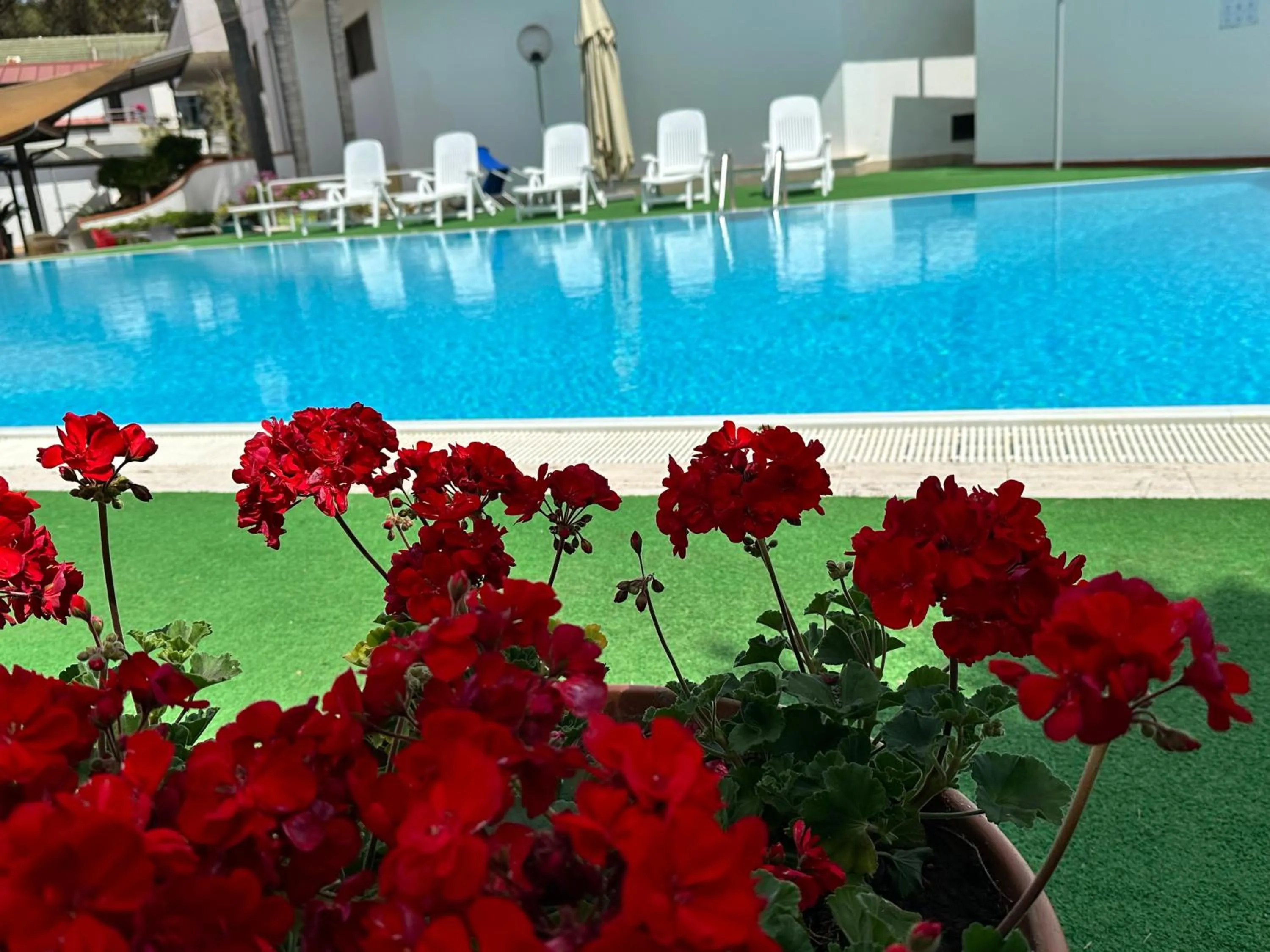 Swimming Pool in Hotel B&B Marina