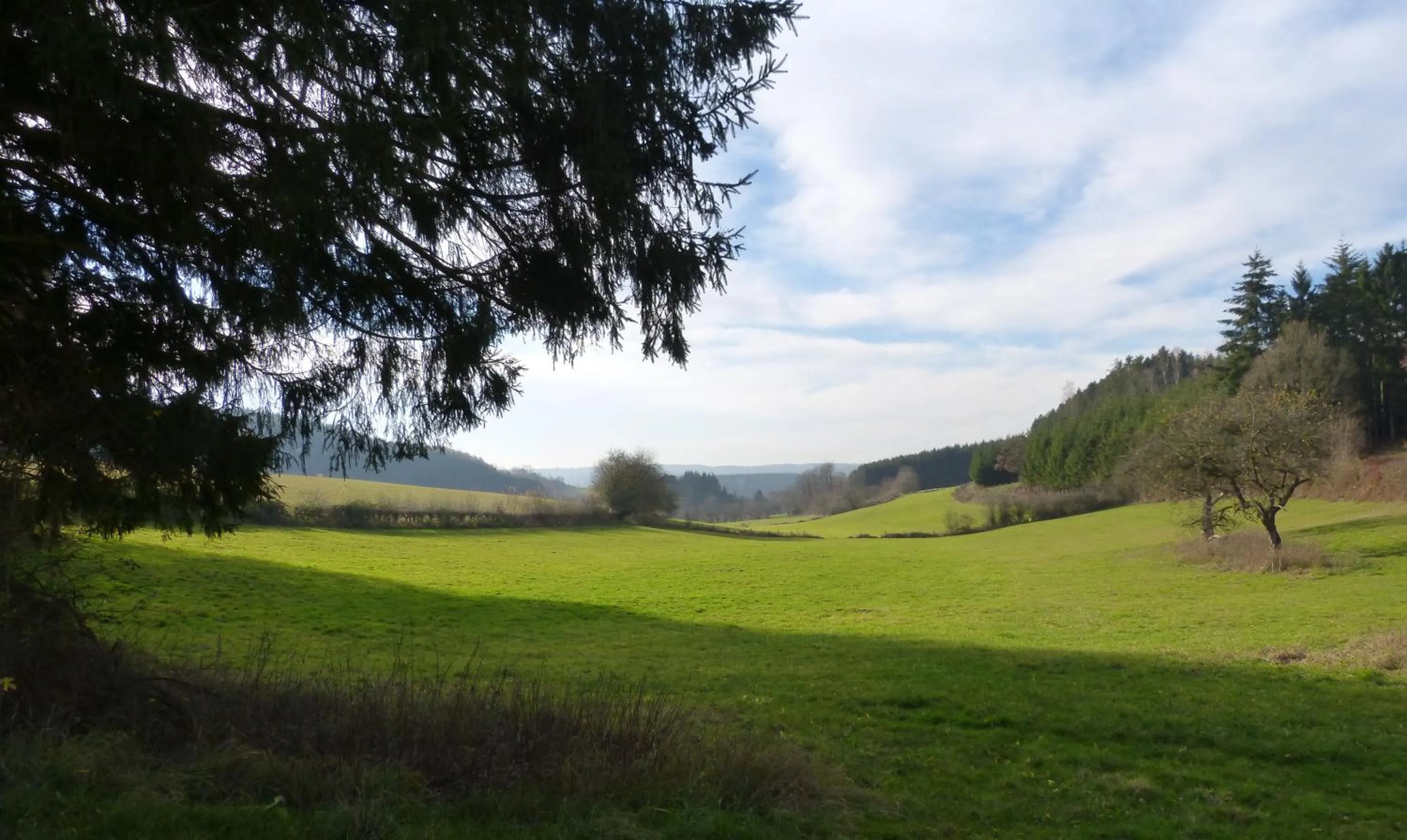Property building in Le Cerf d'Hubert