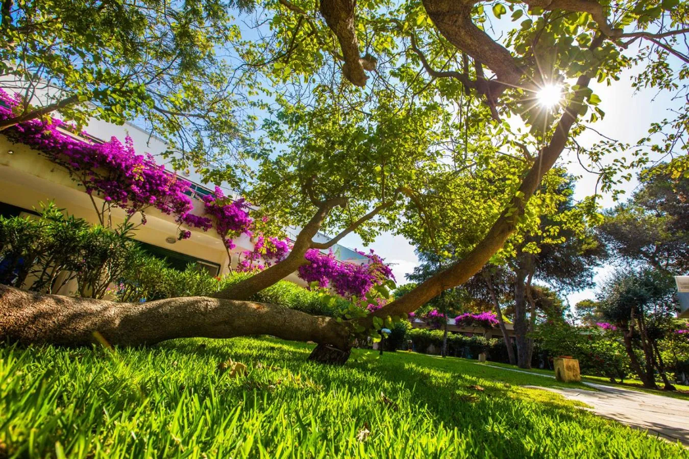 Garden in ROBINSON APULIA - All Inclusive