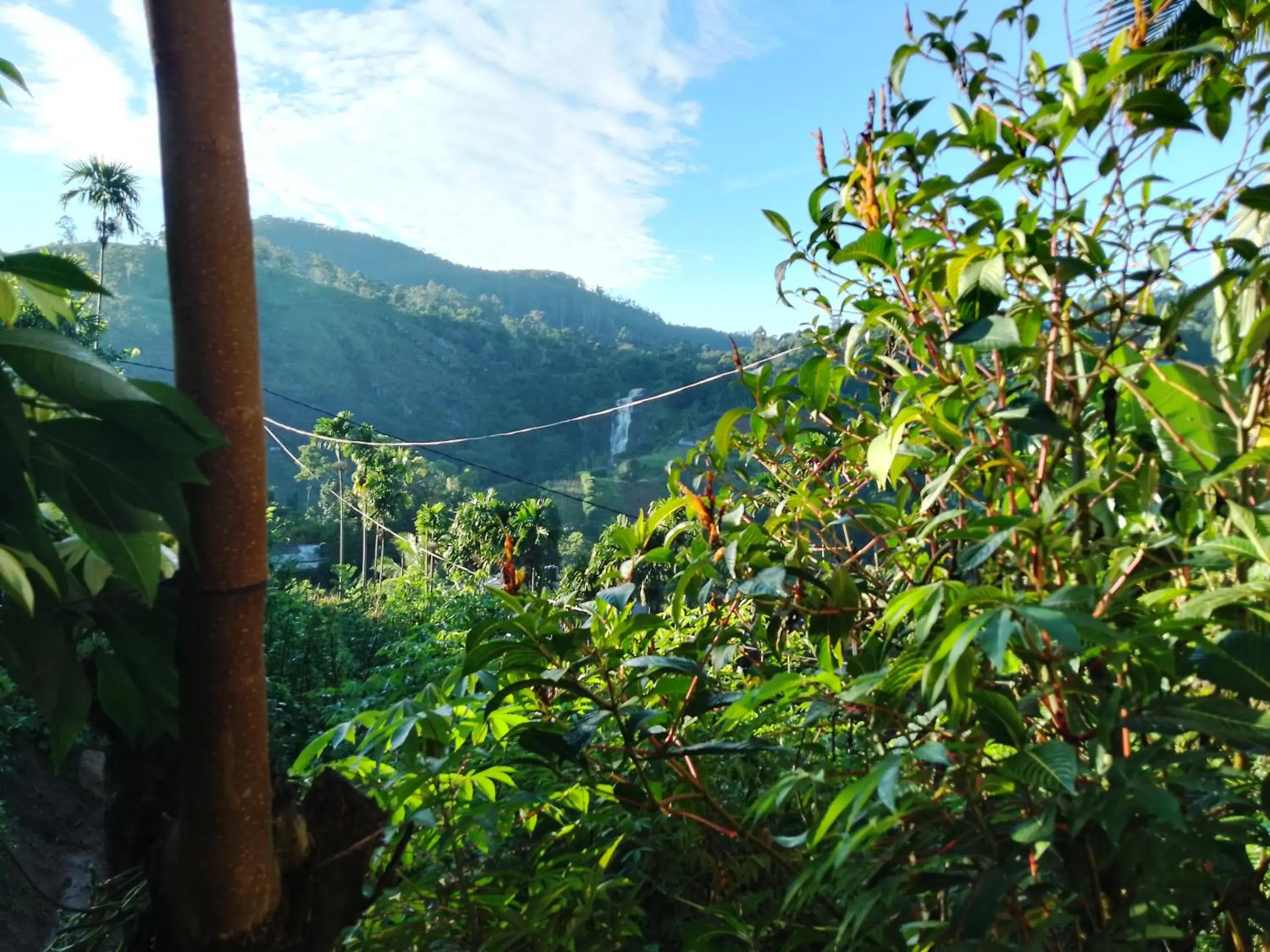 Standard Double Room - single occupancy in Saddle Cottage Standard Double Room - single occupancy in Saddle Cottage