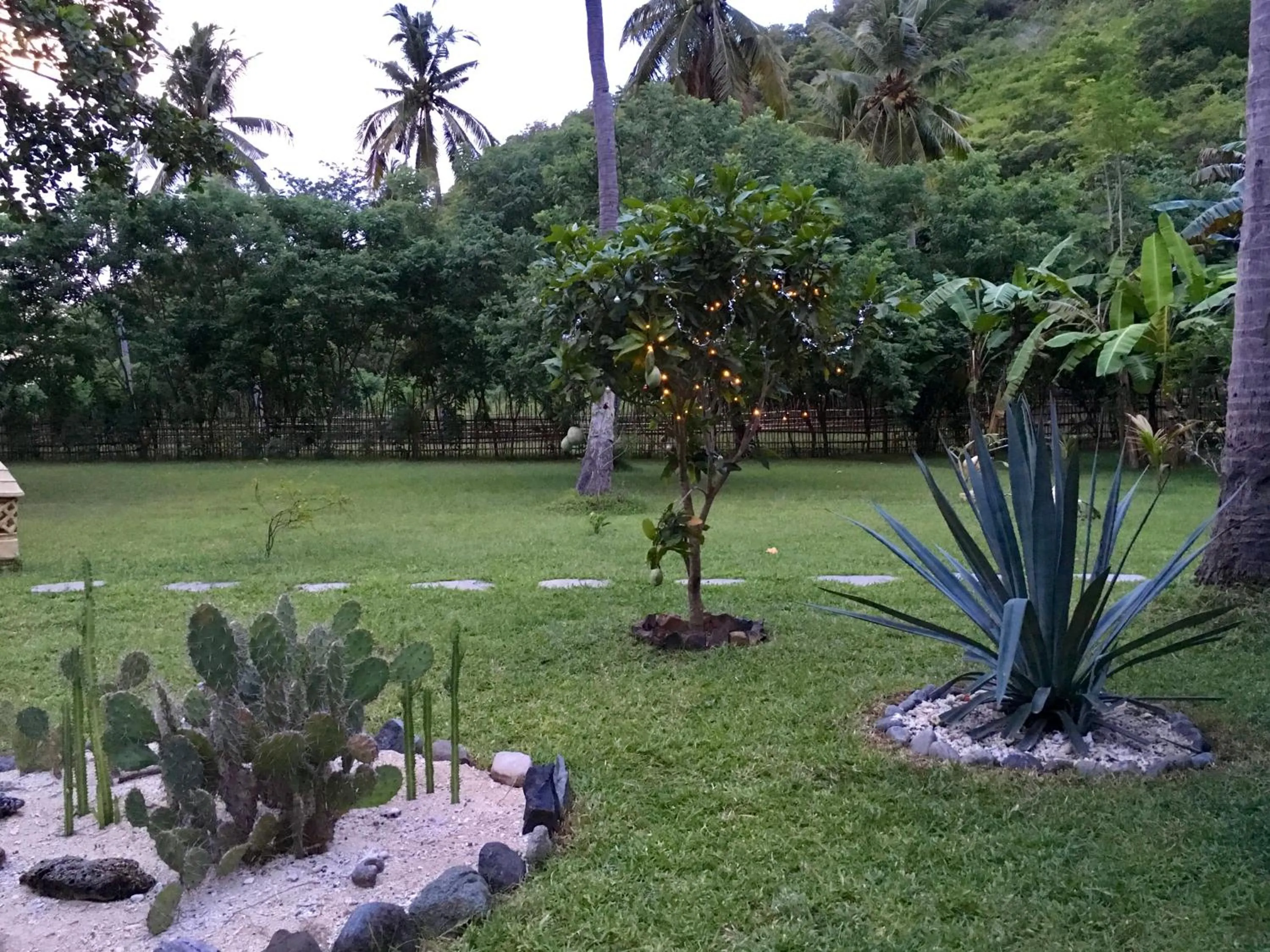 Garden view in The Papalagi Resort