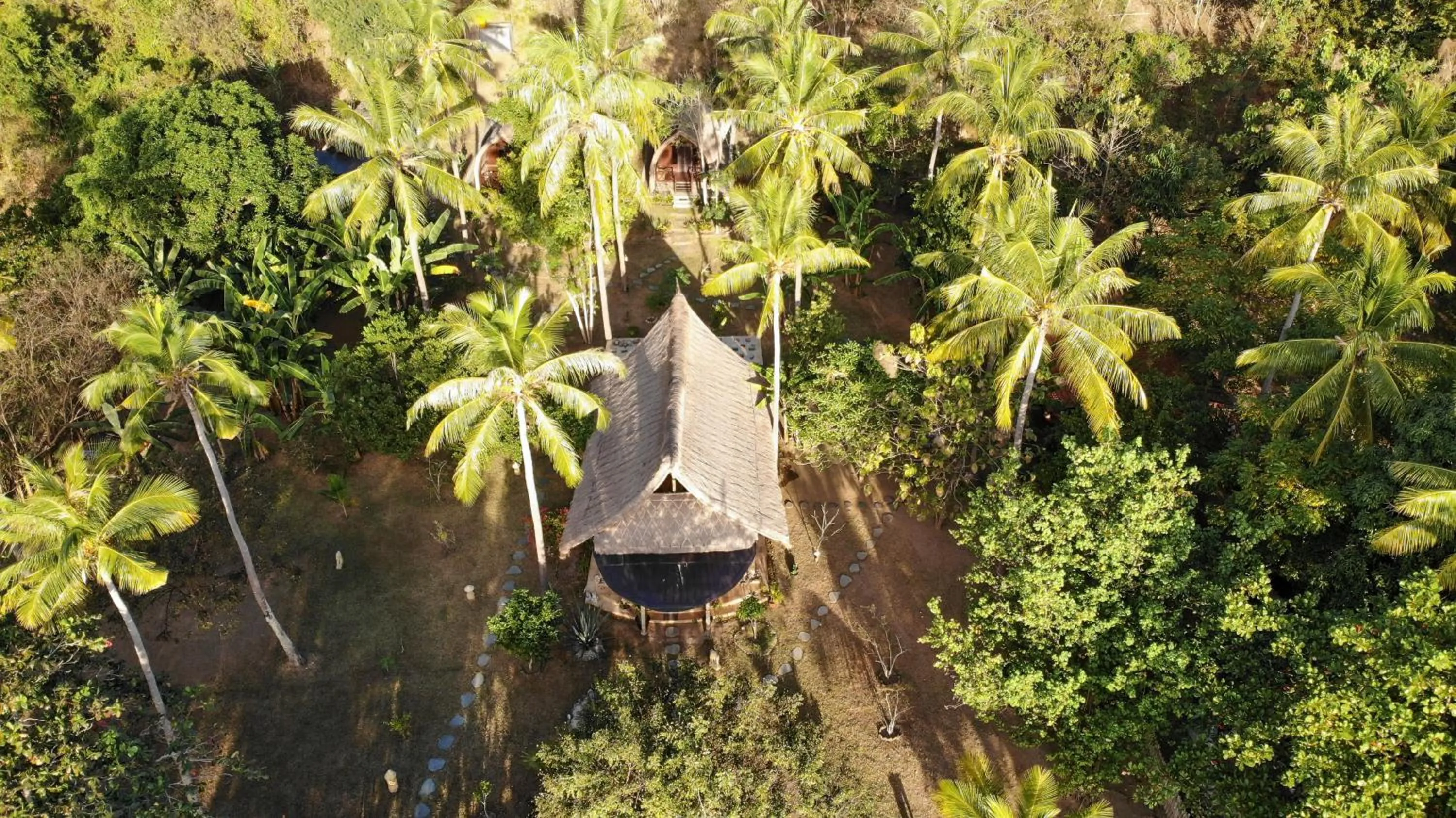 Restaurant/places to eat in The Papalagi Resort