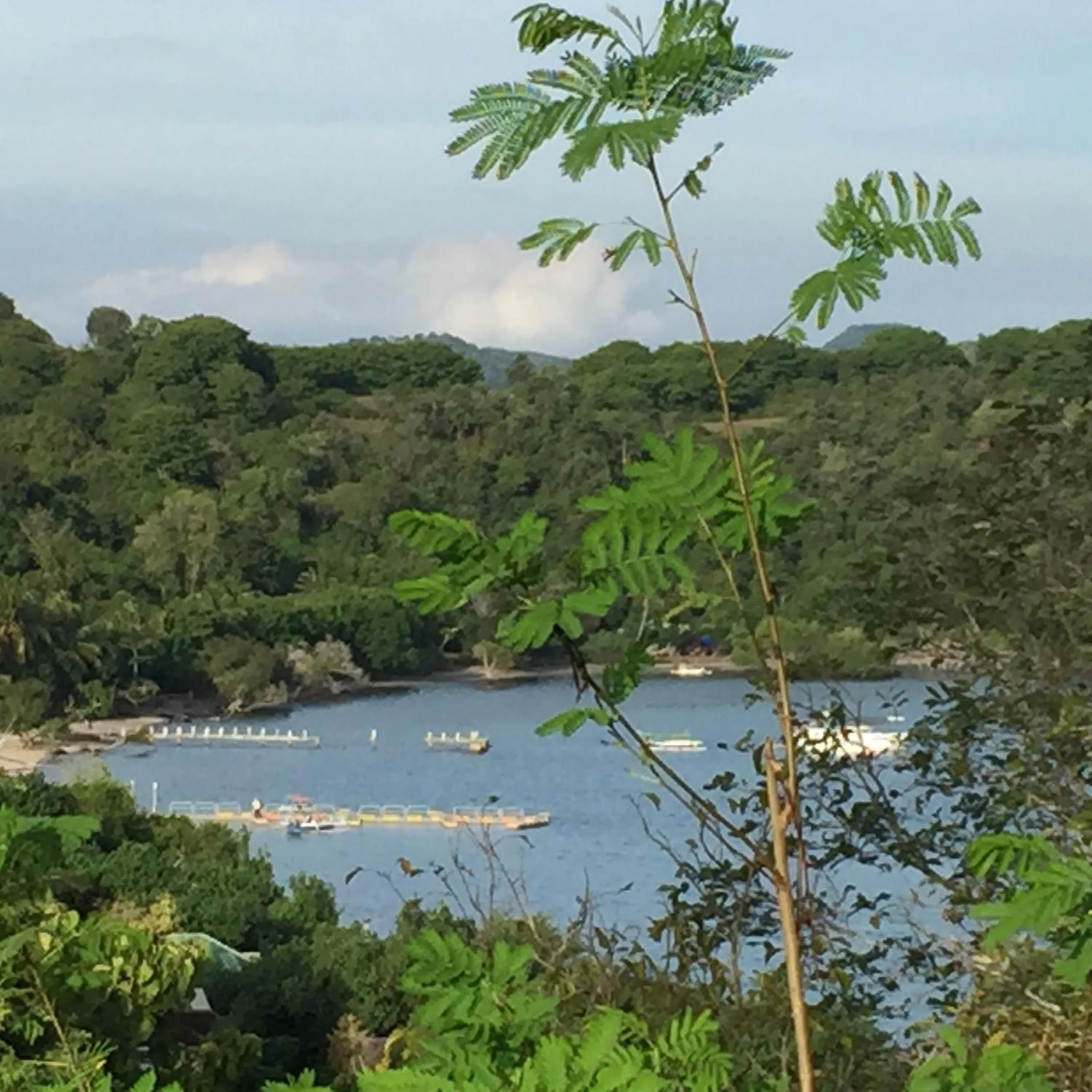 Neighbourhood in The Papalagi Resort