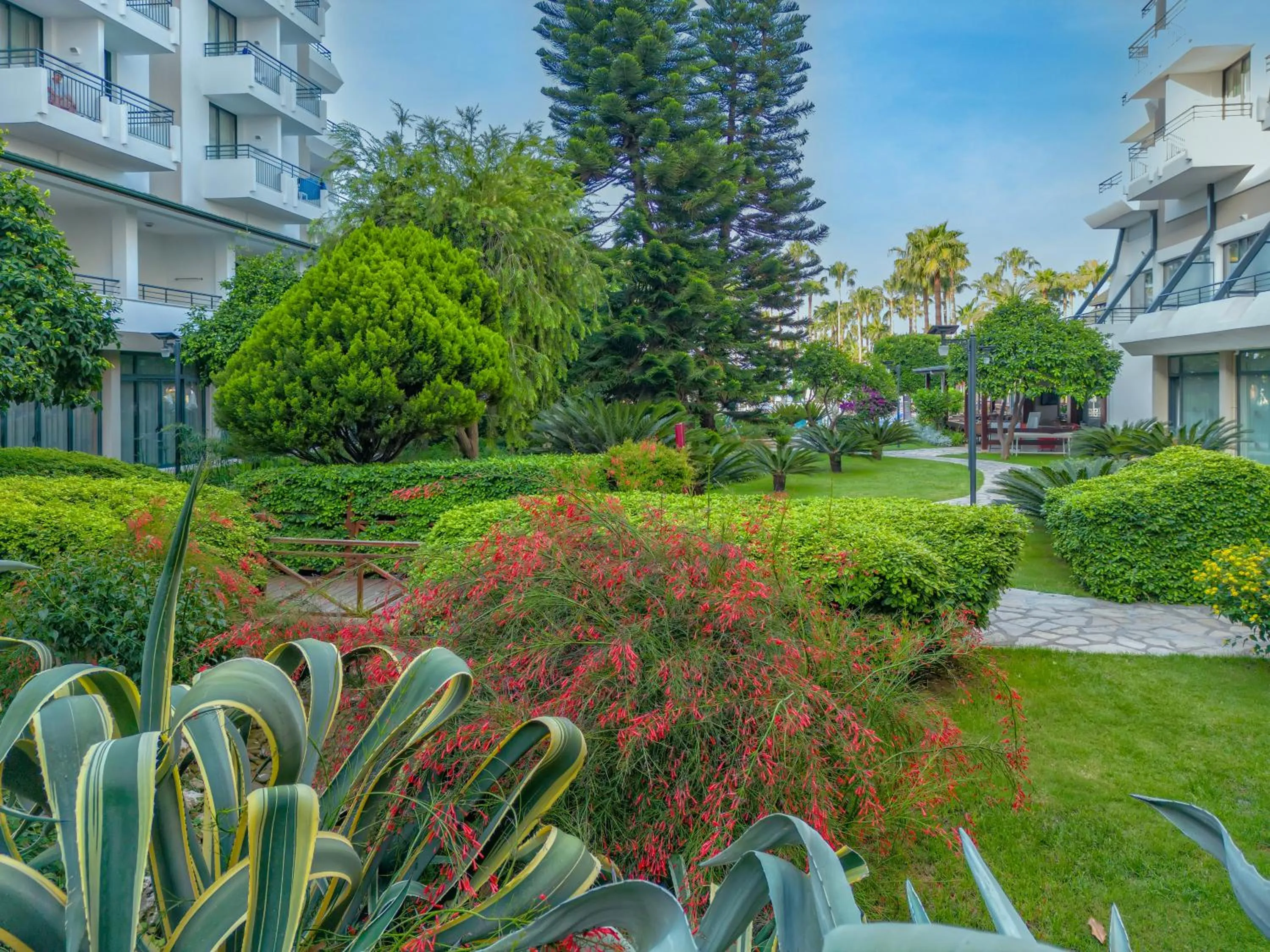 Natural landscape in Meryan Hotel - Ultra All Inclusive