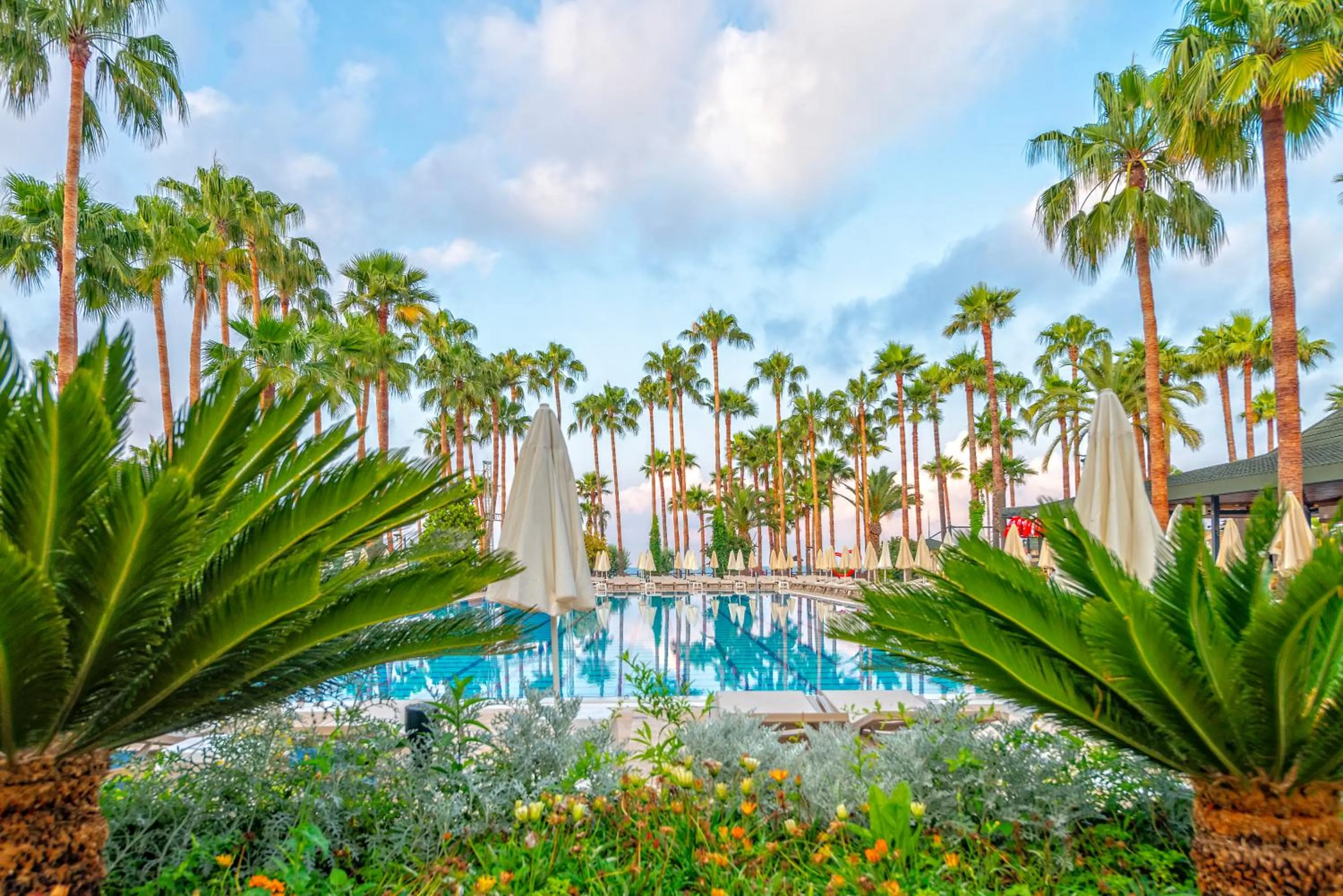 Natural landscape in Meryan Hotel - Ultra All Inclusive