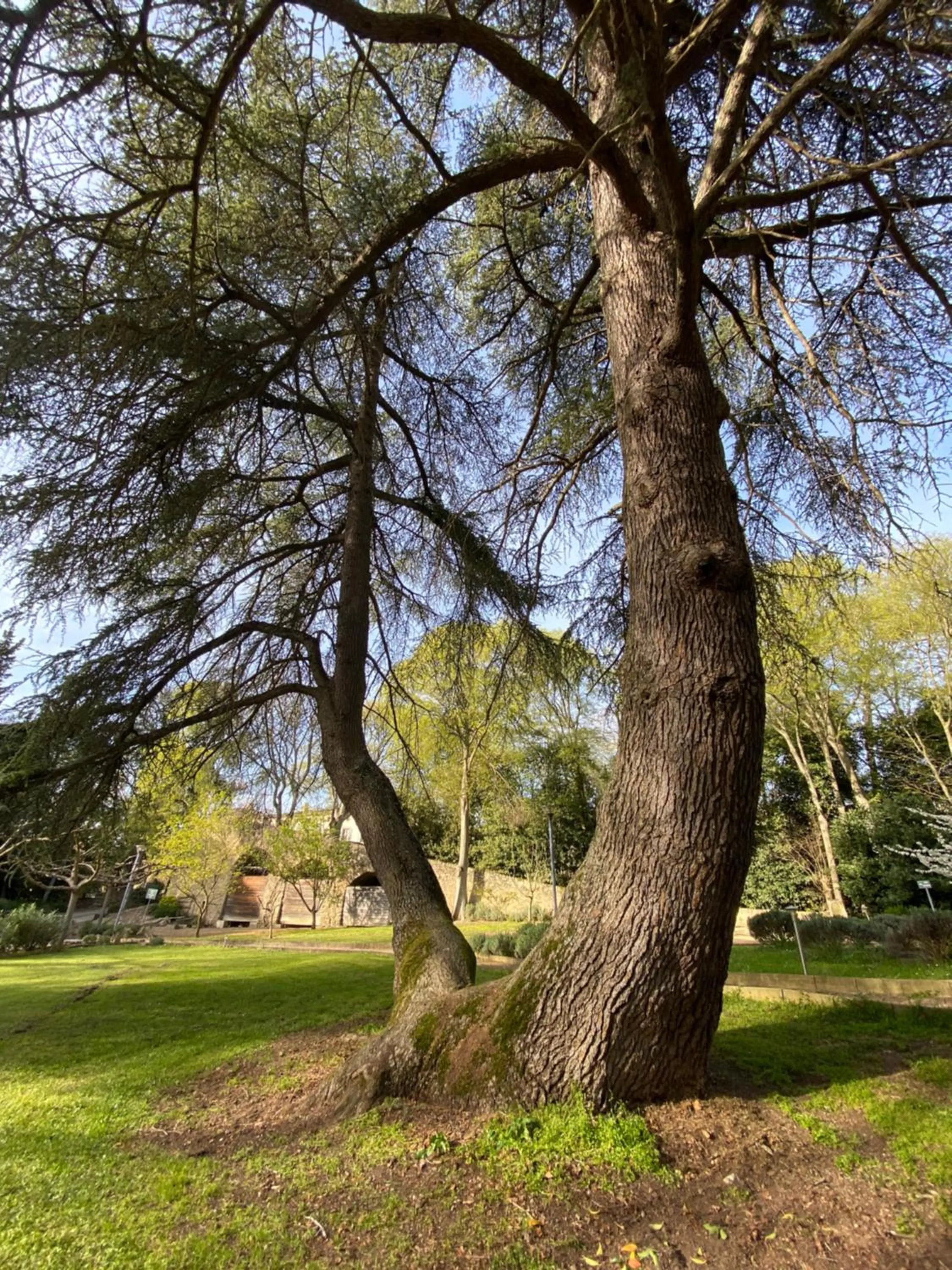 Garden in Logis Hôtel Château De Palaja