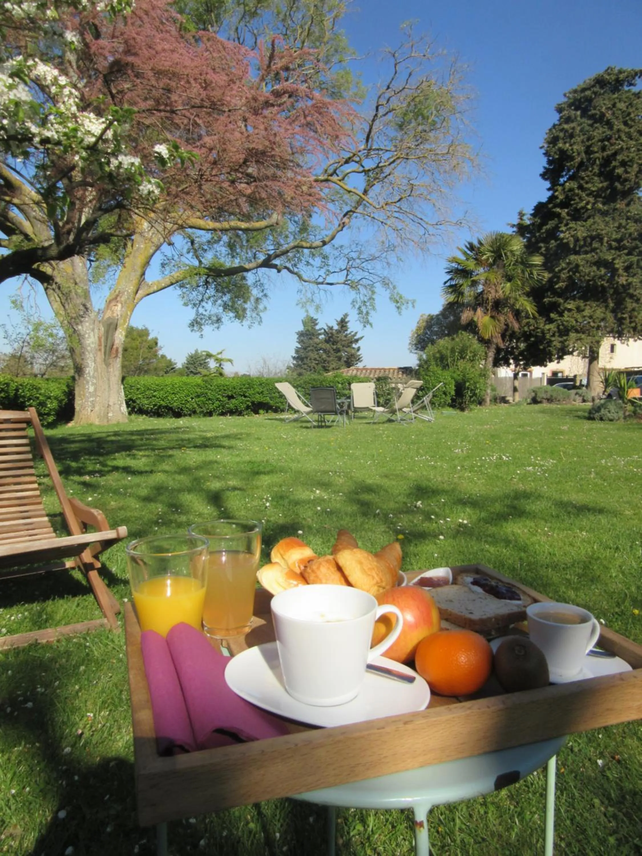 Natural landscape in Logis Hôtel Château De Palaja