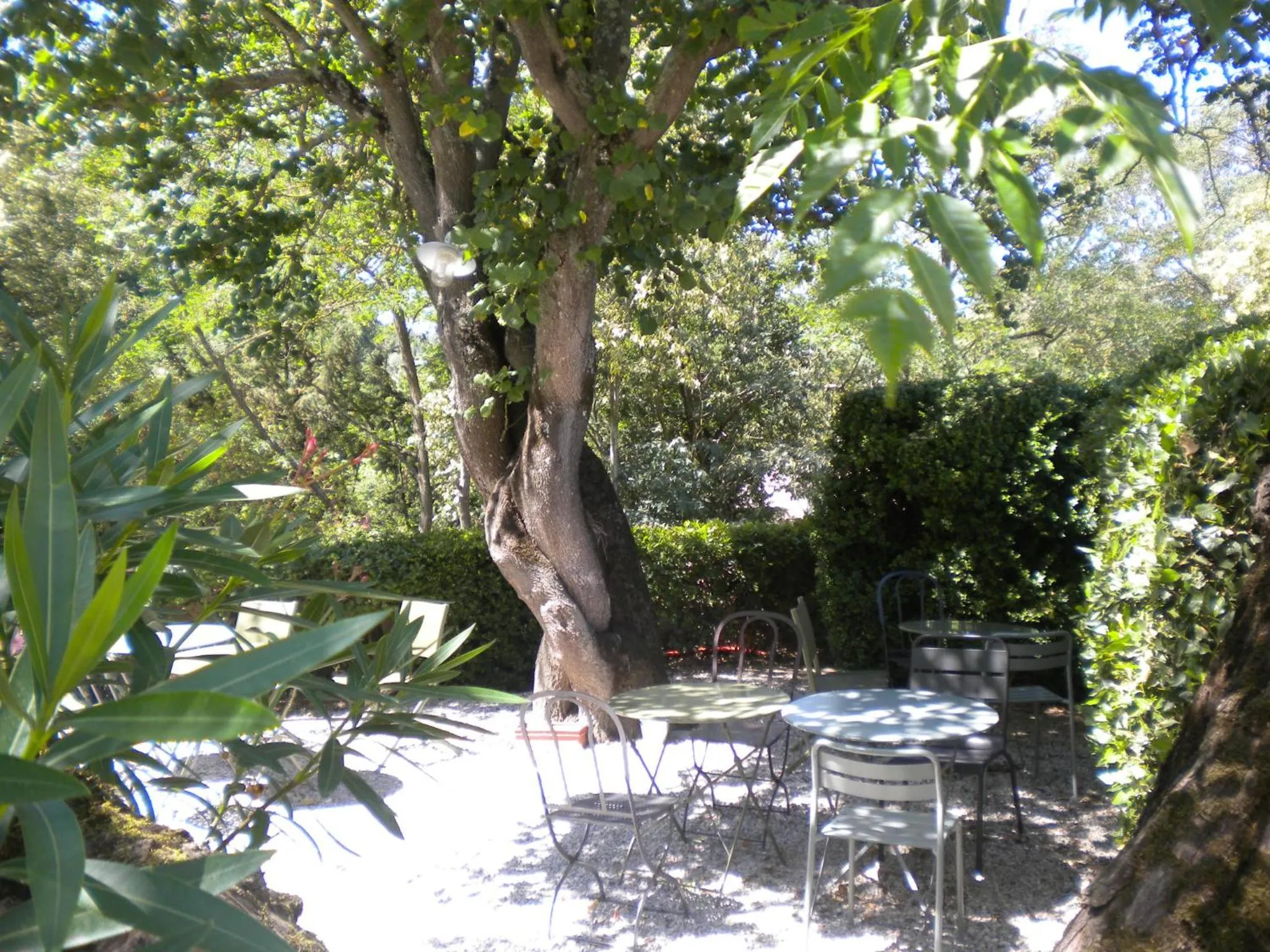 Patio in Logis Hôtel Château De Palaja
