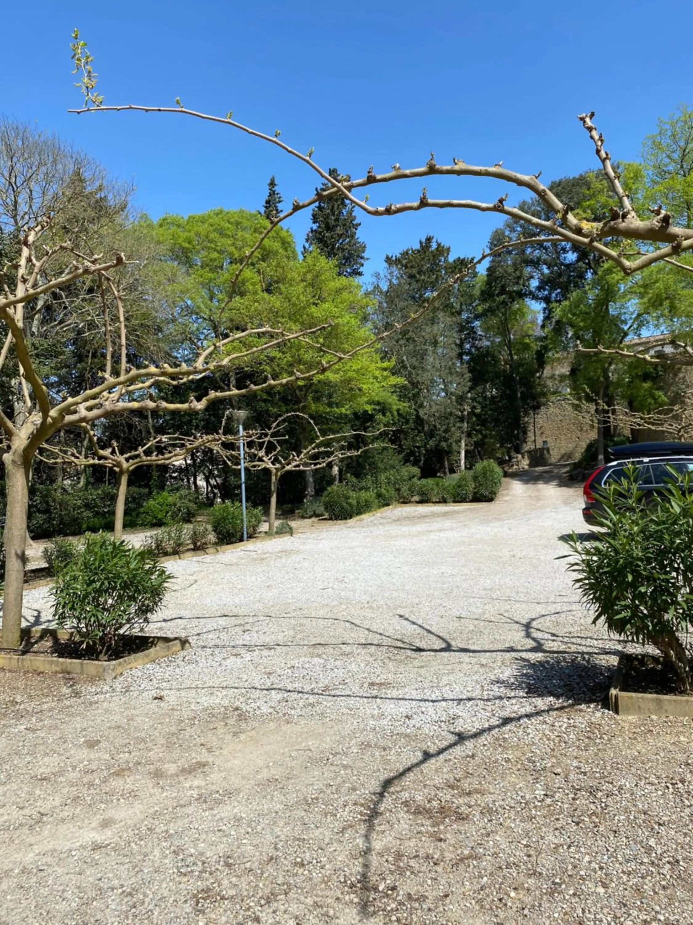 Parking in Logis Hôtel Château De Palaja