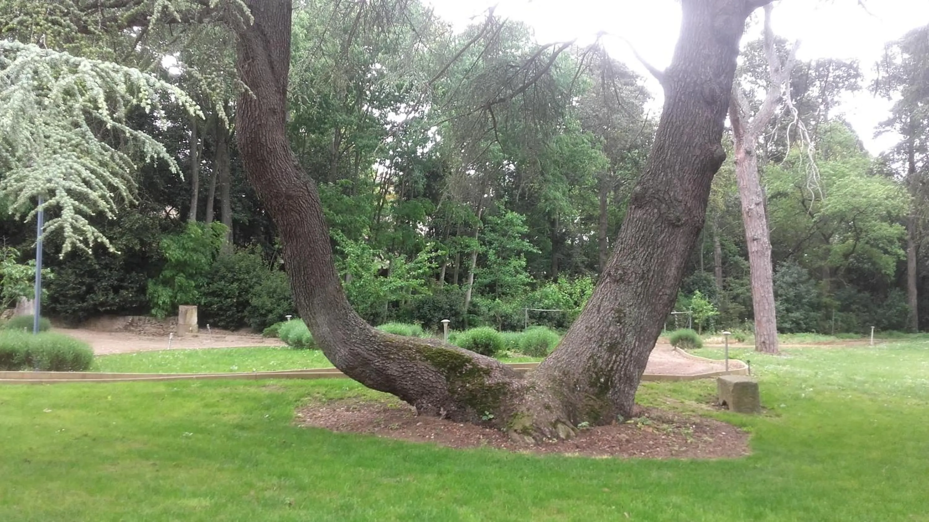 Garden in Logis Hôtel Château De Palaja