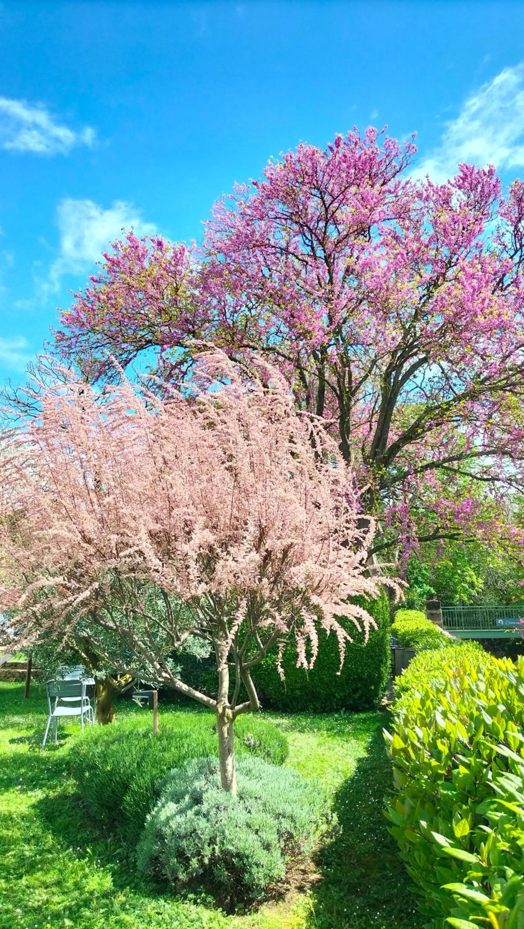 Garden in Logis Hôtel Château De Palaja