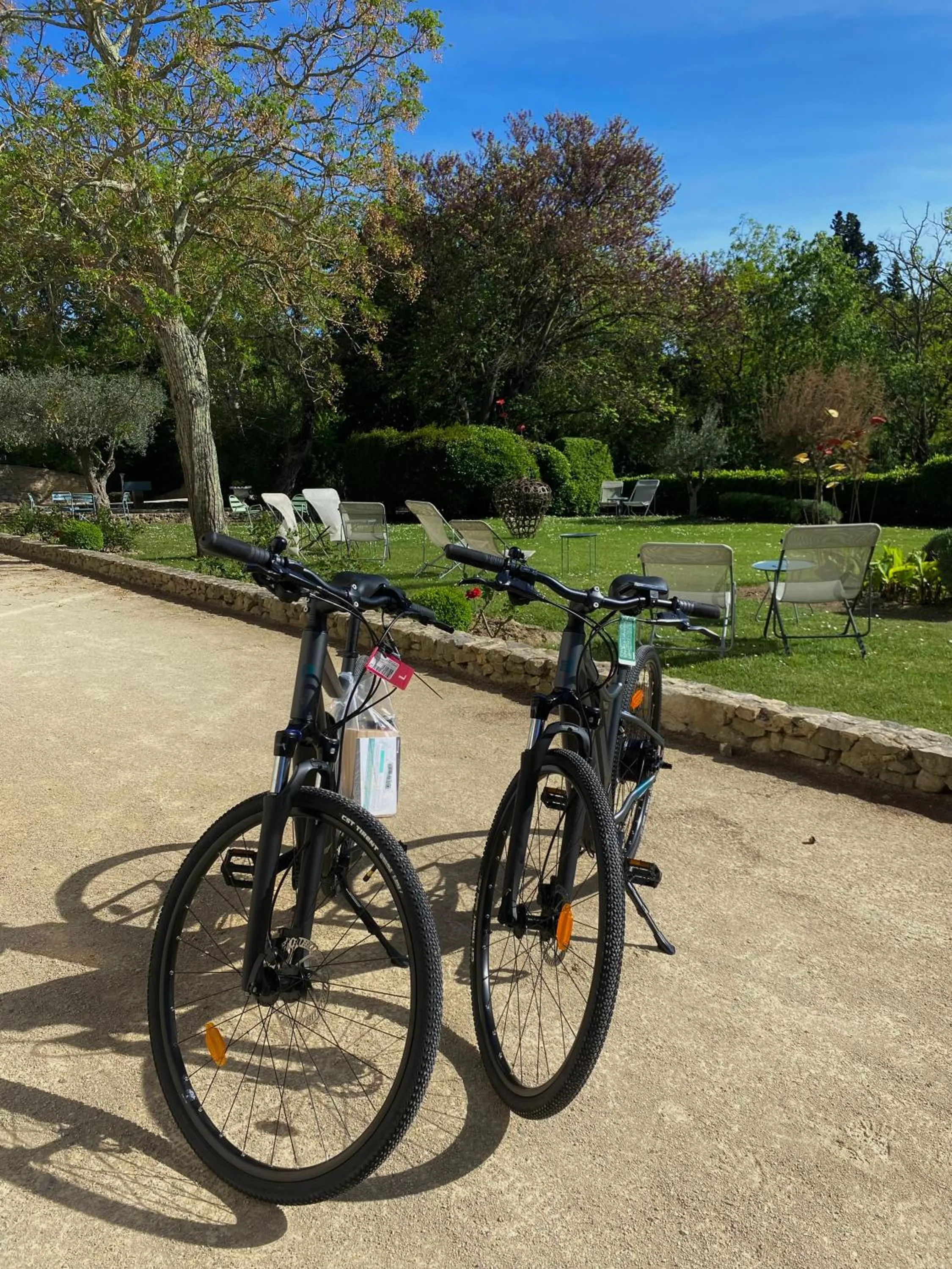 Cycling in Logis Hôtel Château De Palaja