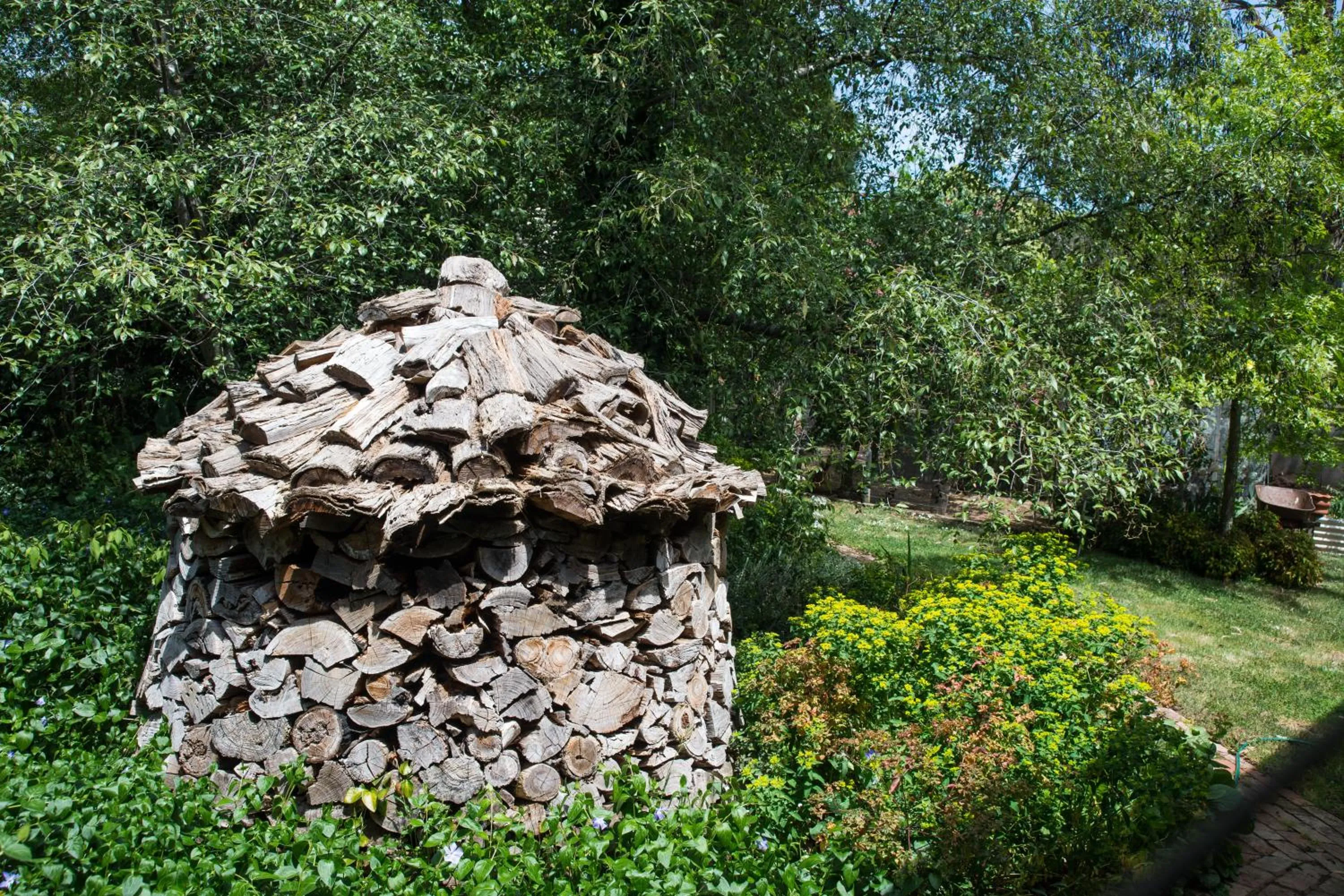 Garden view in Hollyhock