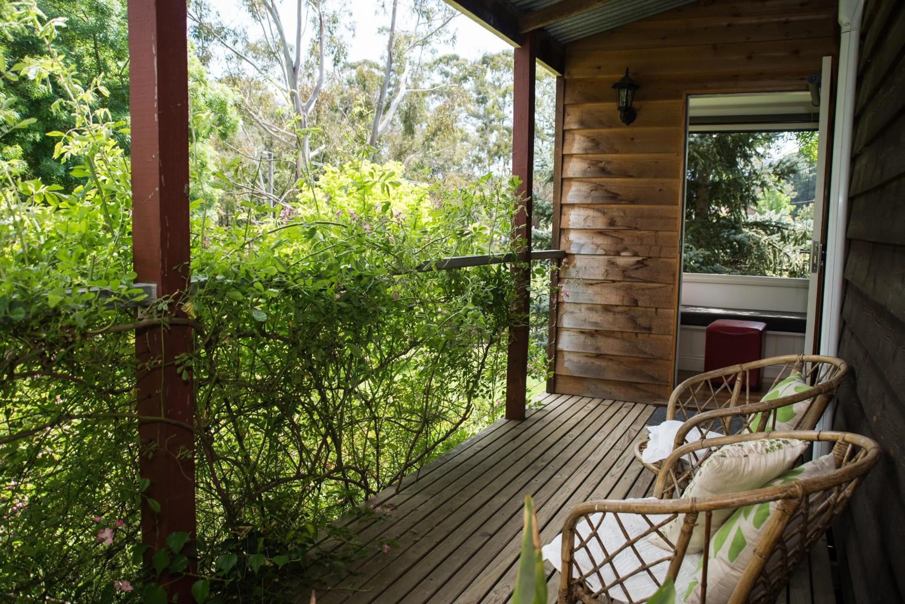 Garden view in Hollyhock