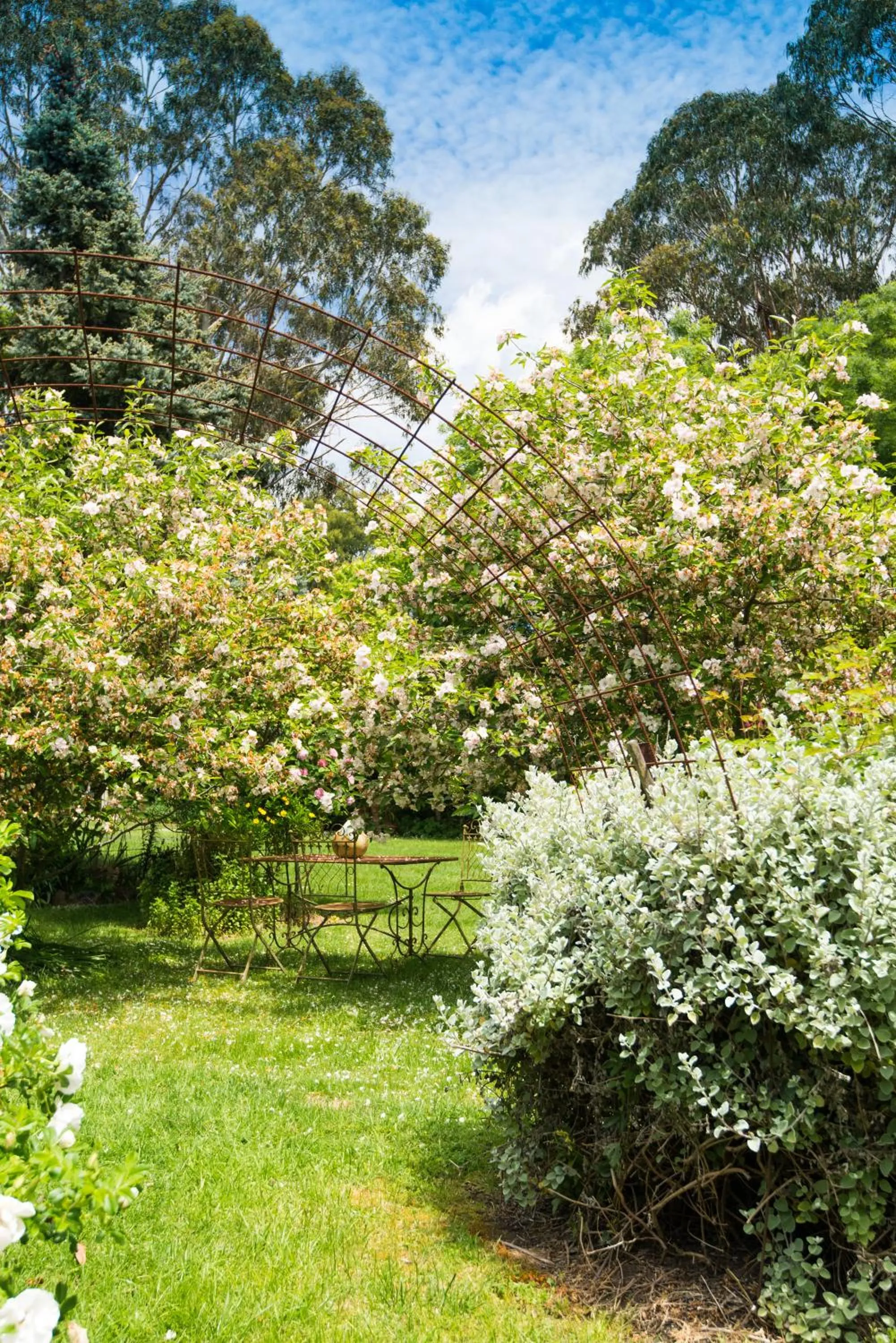 Garden view in Hollyhock
