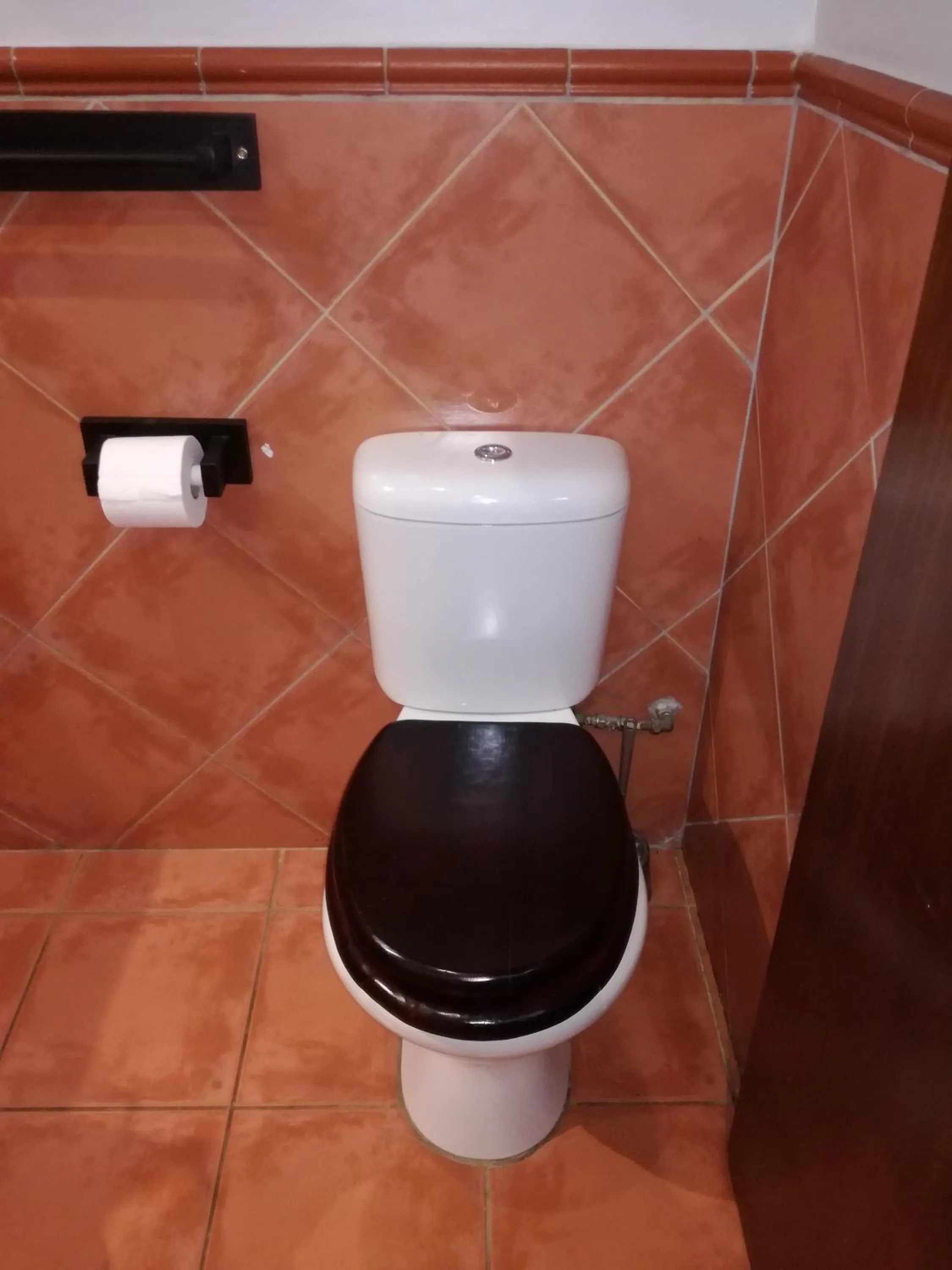 Toilet in Villa Tropicana - South Africa