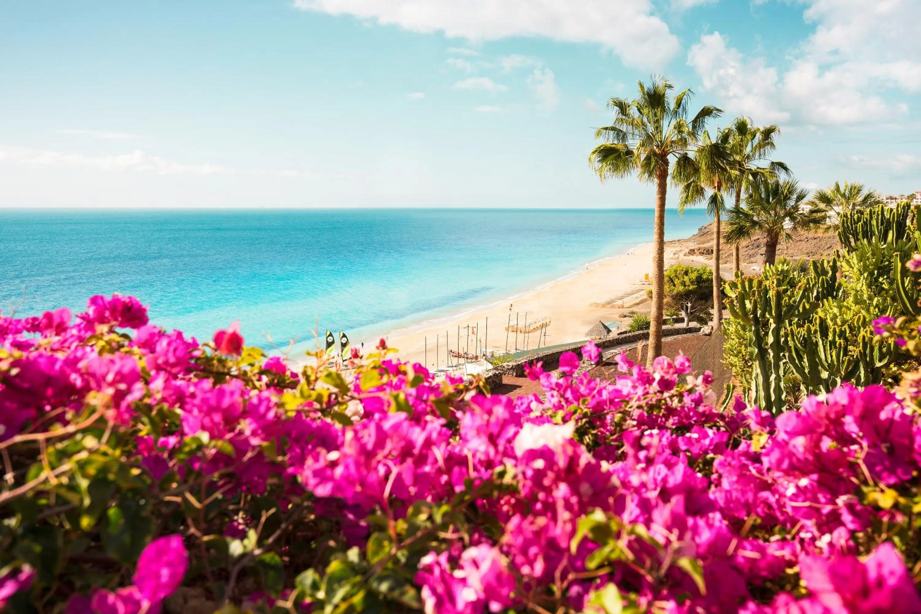 Beach in ROBINSON ESQUINZO PLAYA - All Inclusive