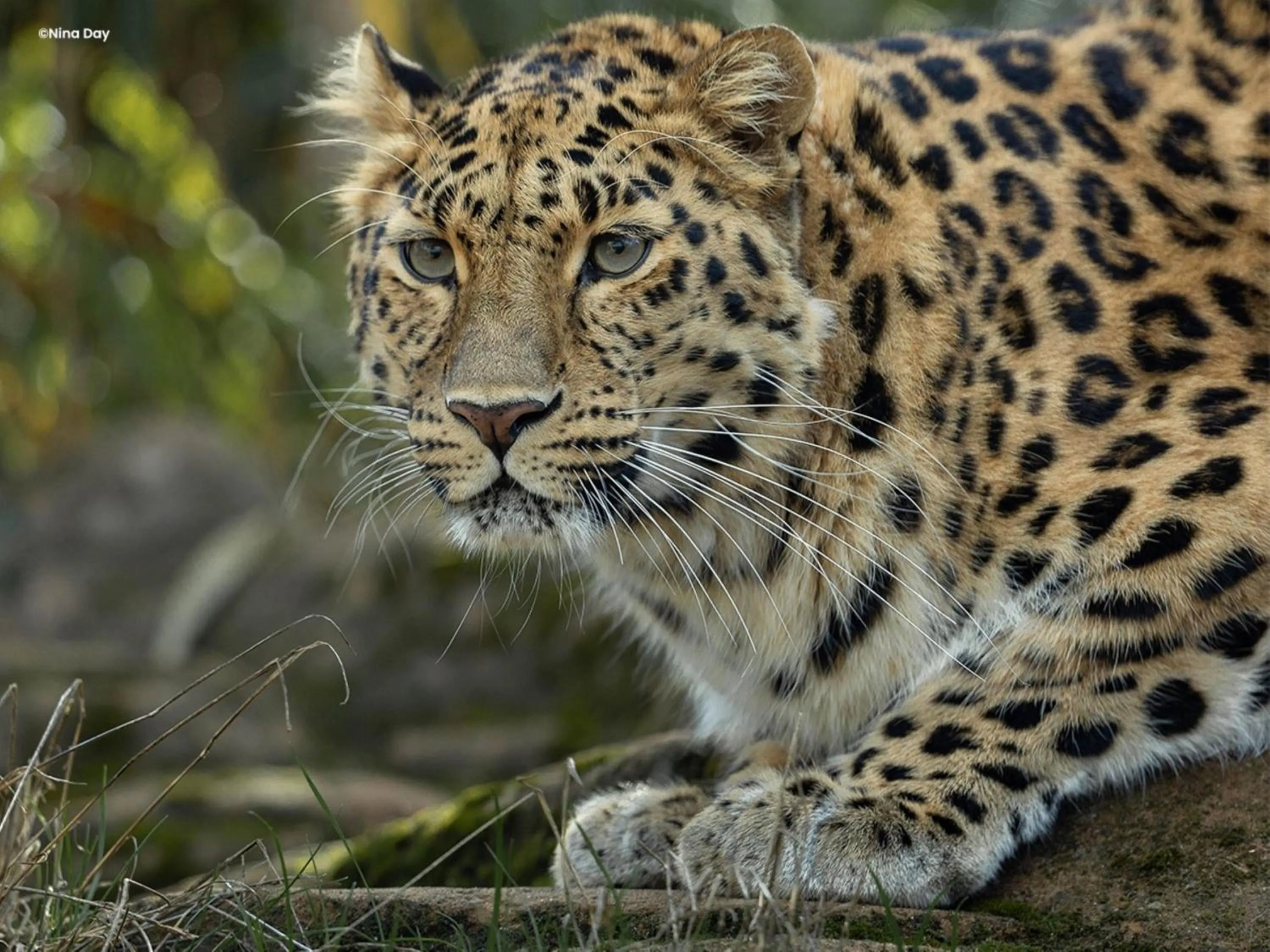 Area and facilities in Holiday Inn Express Colchester by IHG