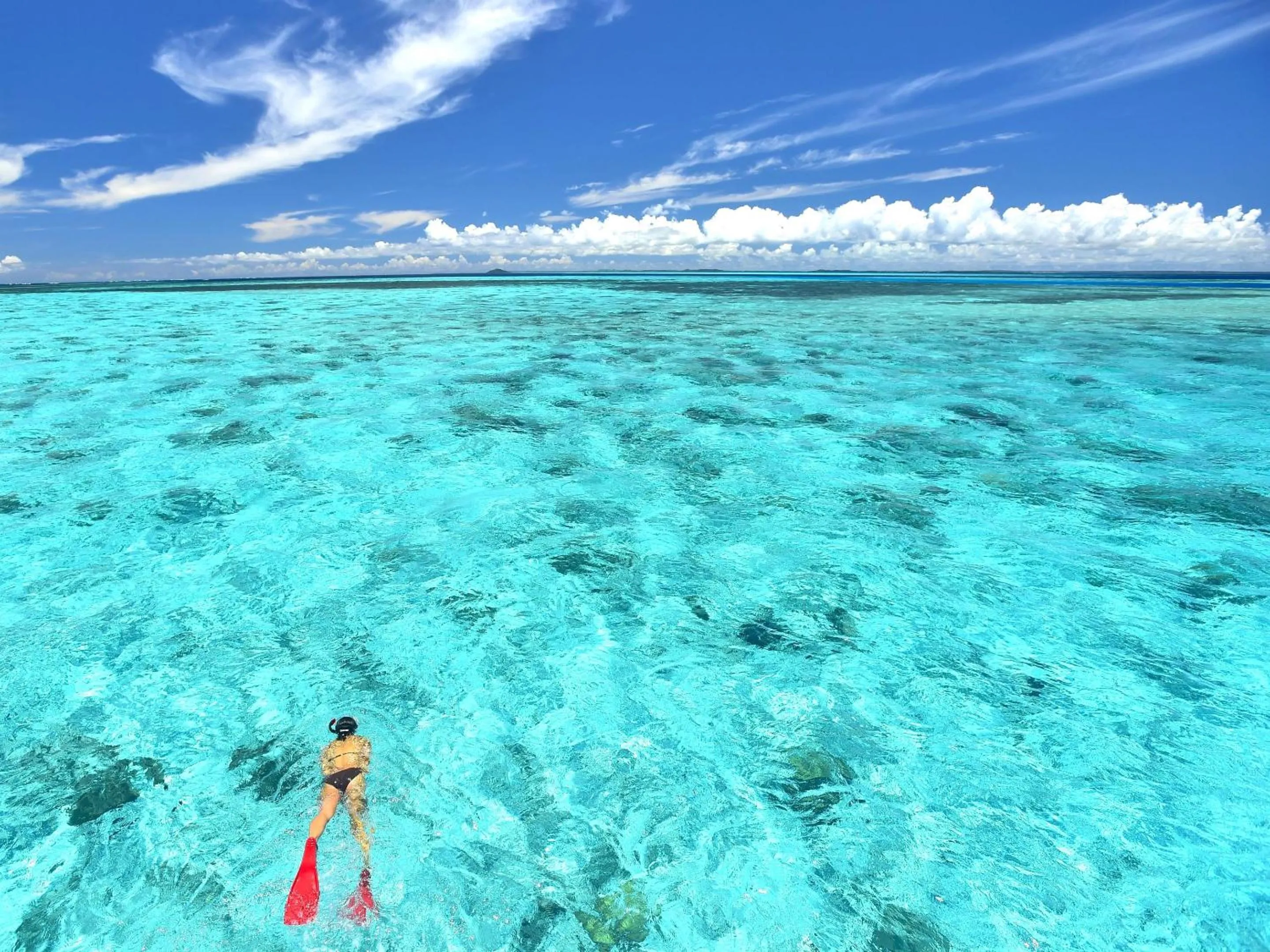 Activities in Hot Cross Point Santa Monica