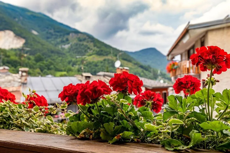 Fiocco di Neve Relais & SPA